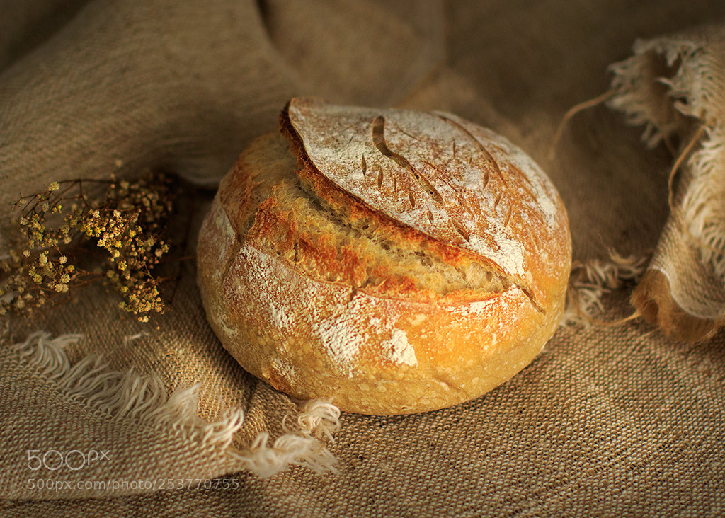Canon EOS 7D Mark II sample photo. Abrilp photography