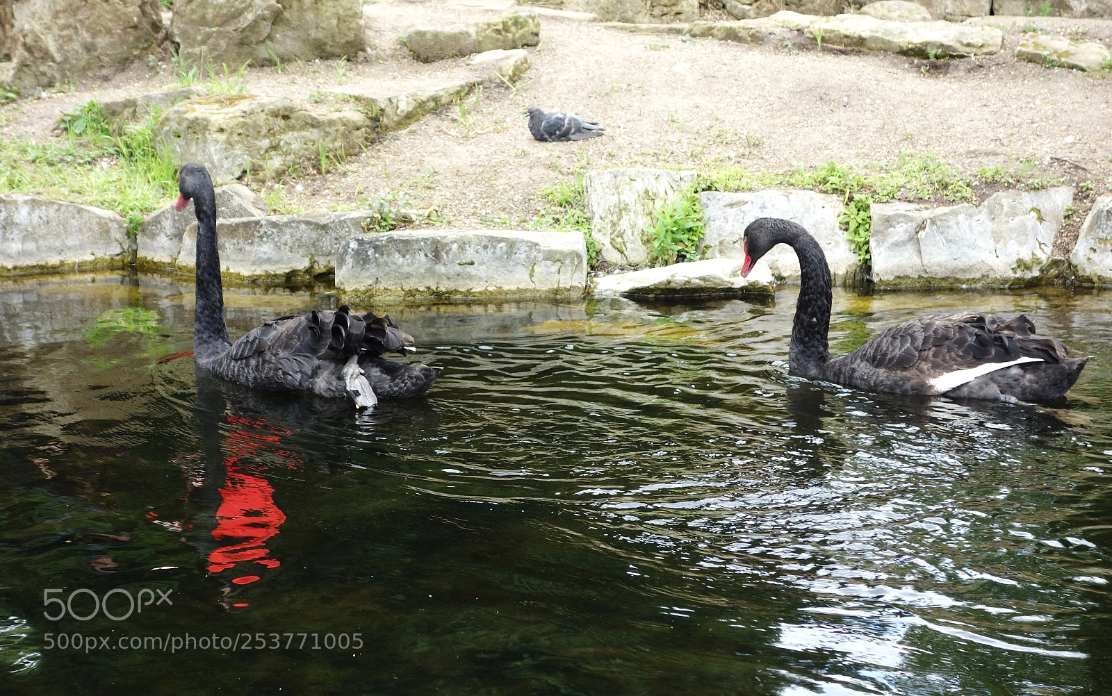 Sony Cyber-shot DSC-RX100 sample photo. The regent's park, london photography