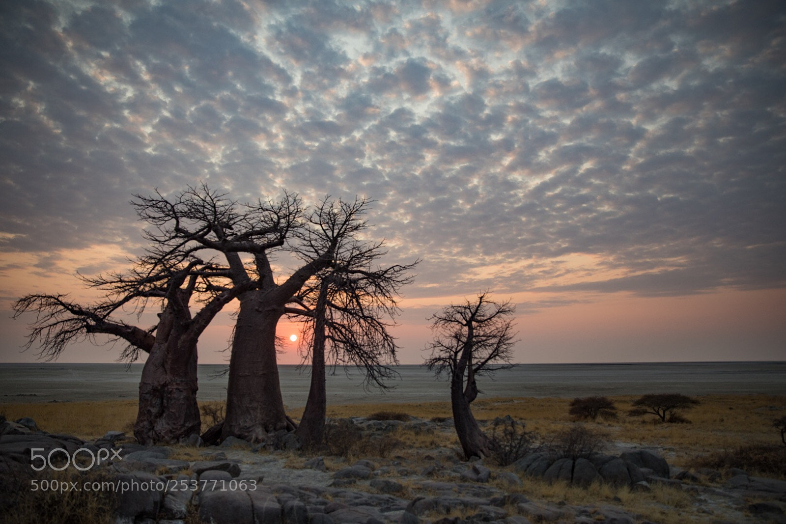 Canon EOS 5D Mark IV sample photo. Sunrise at kubu island... photography