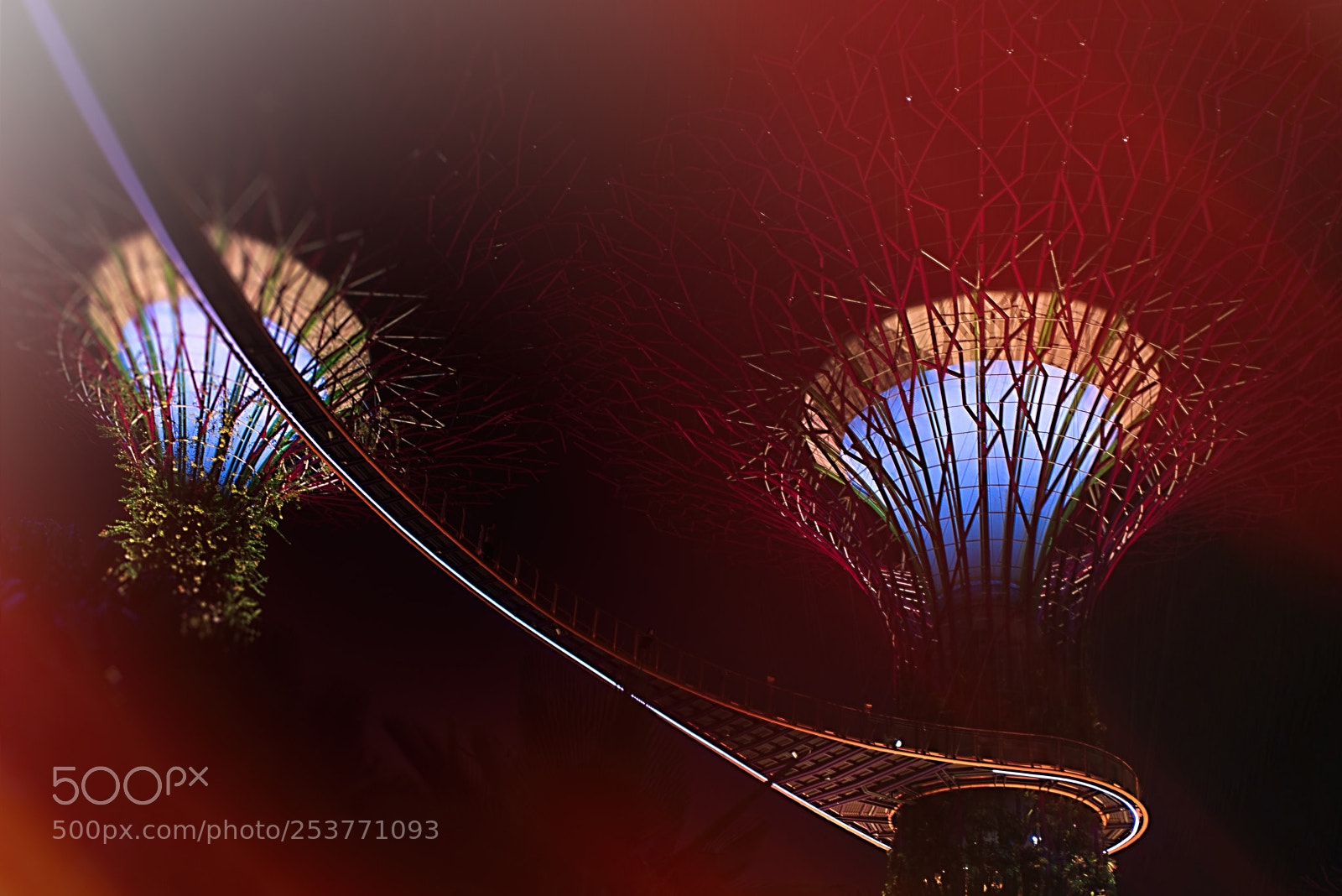 Sony a7R III sample photo. Gardens by the bay photography