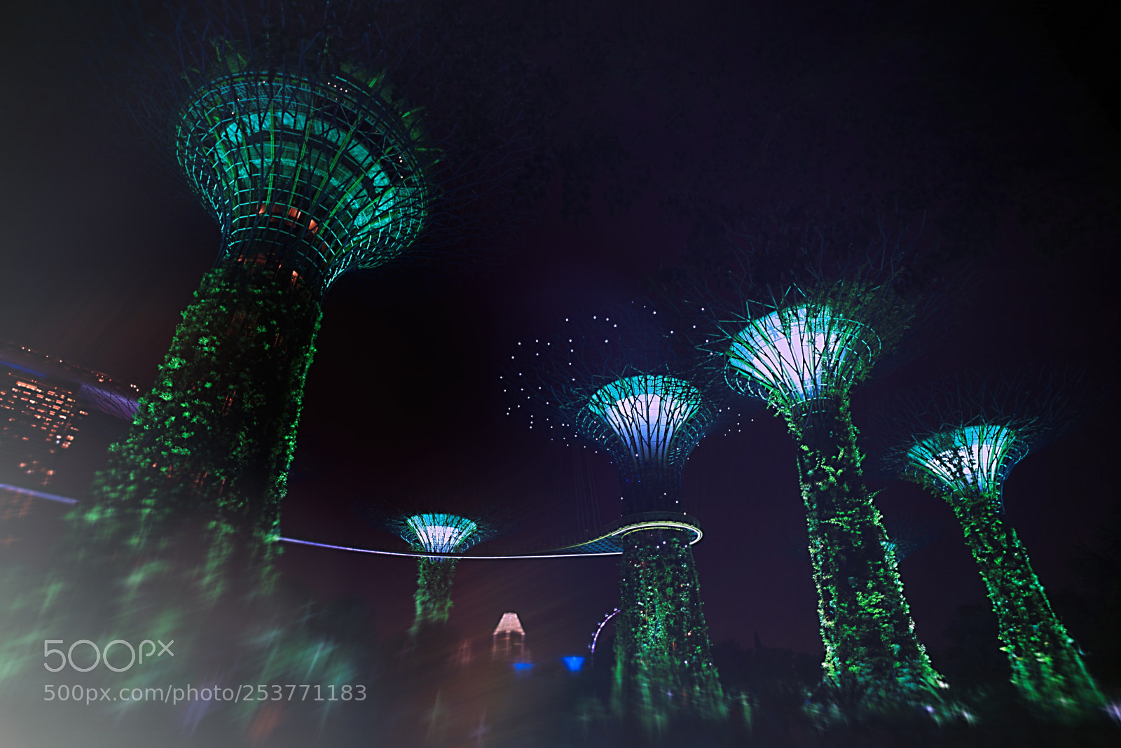 Sony a7R III sample photo. Gardens by the bay photography