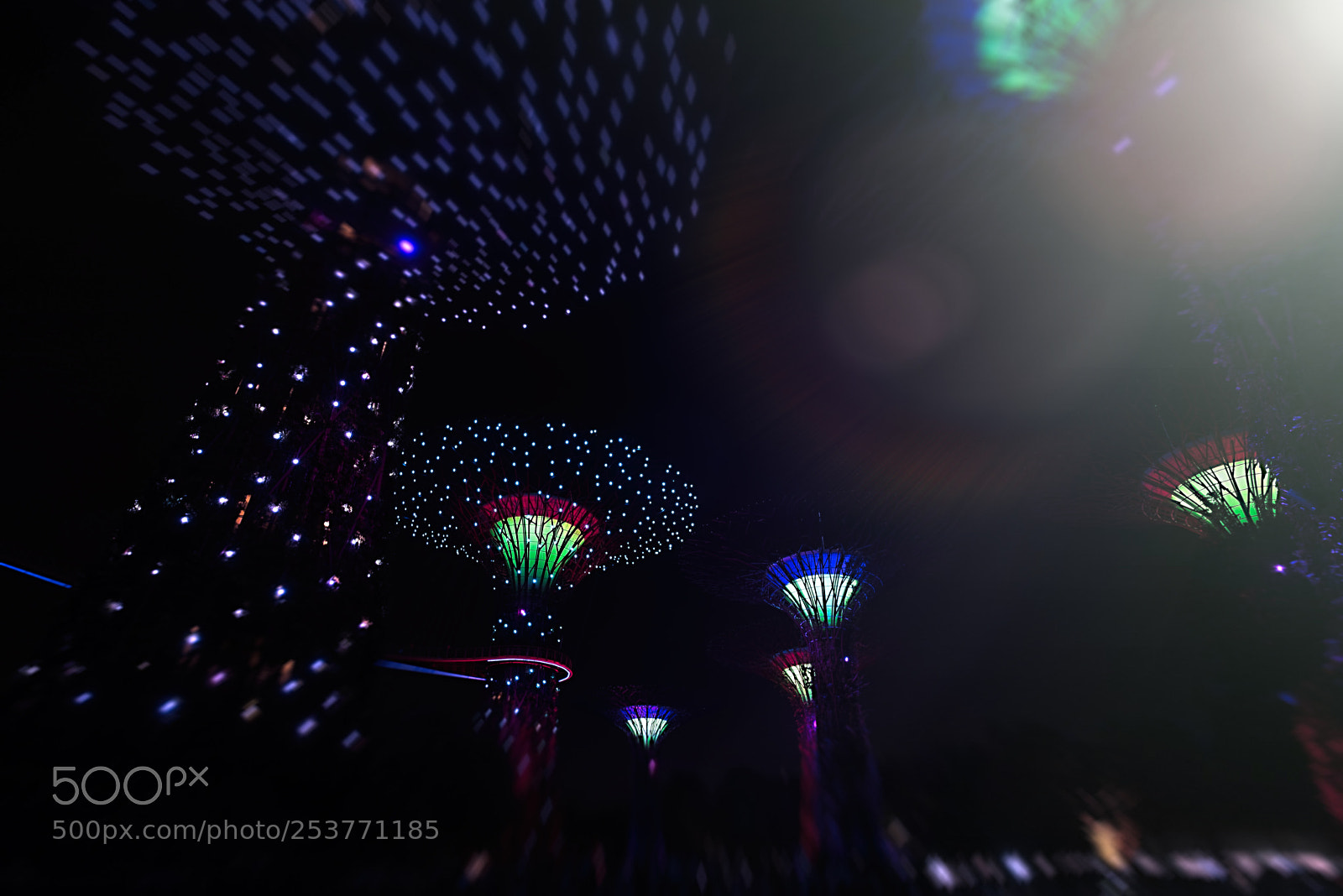 Sony a7R III sample photo. Gardens by the bay photography