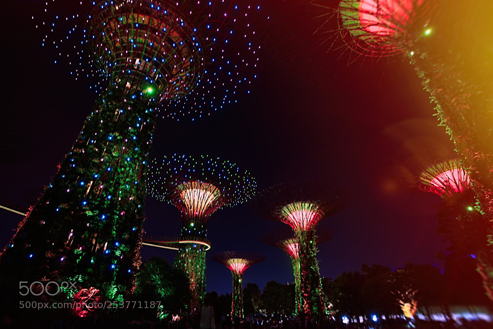 Sony a7R III sample photo. Gardens by the bay photography