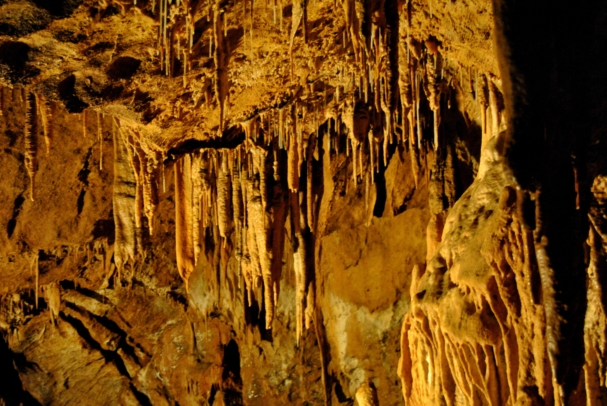 Nikon D3000 sample photo. Teeth from inside the earth photography