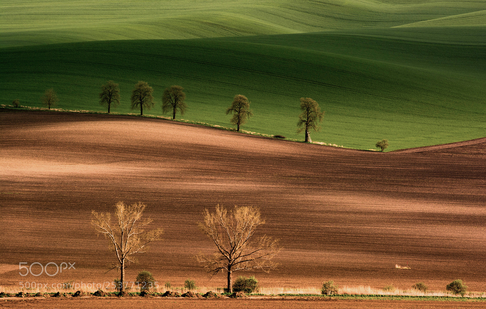 Nikon D7100 sample photo. Moravian spring_two seasons? photography