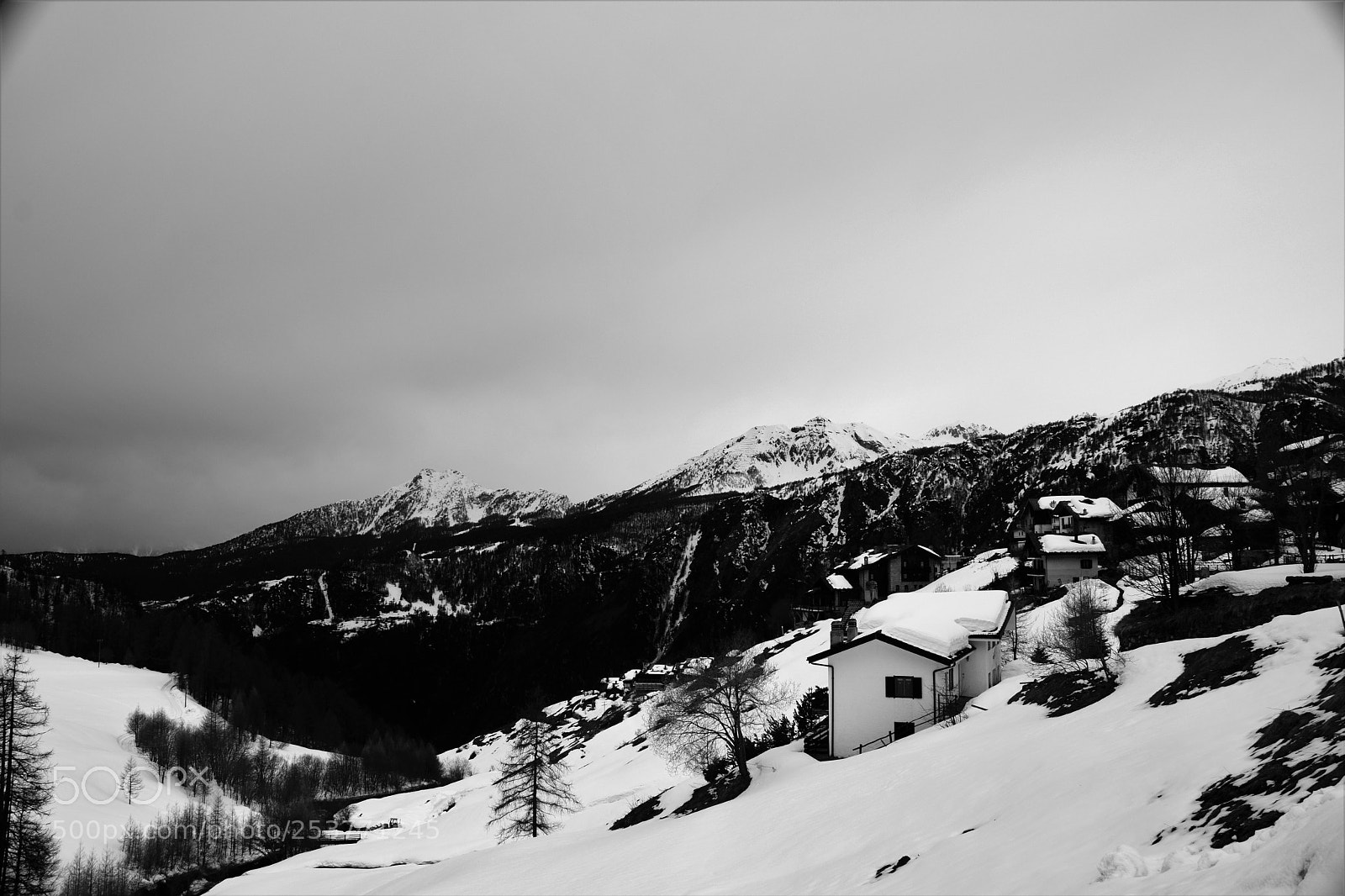 Nikon D3300 sample photo. Untitled photography