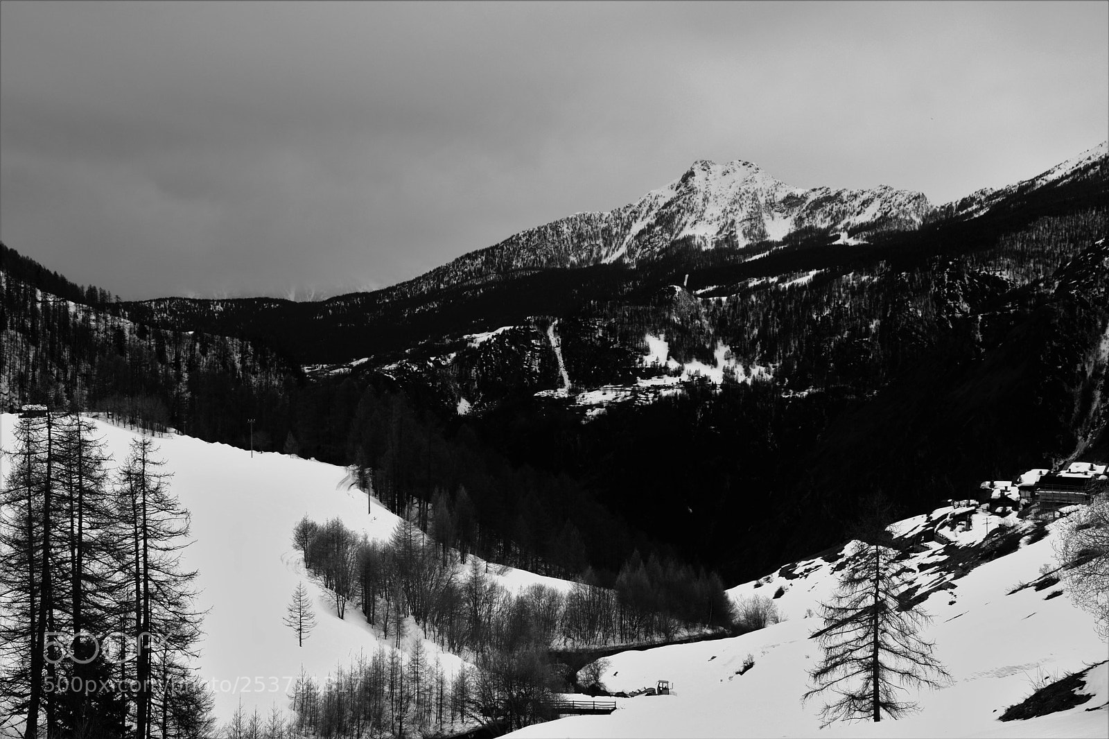 Nikon D3300 sample photo. Untitled photography