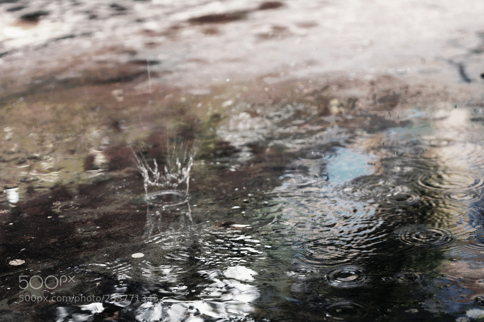 Nikon D5200 sample photo. Rain photography