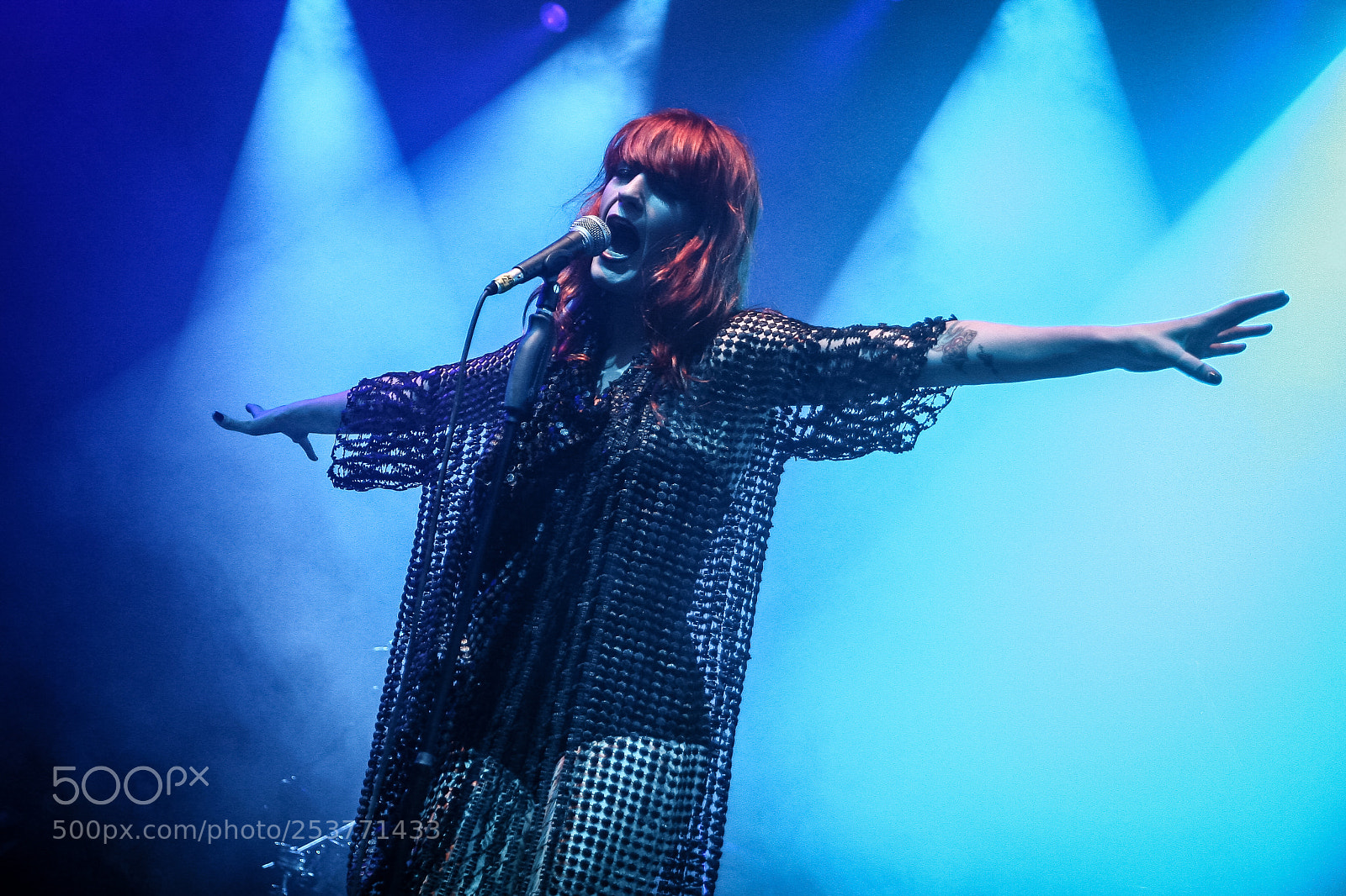 Canon EOS 30D sample photo. Florence & the machine photography