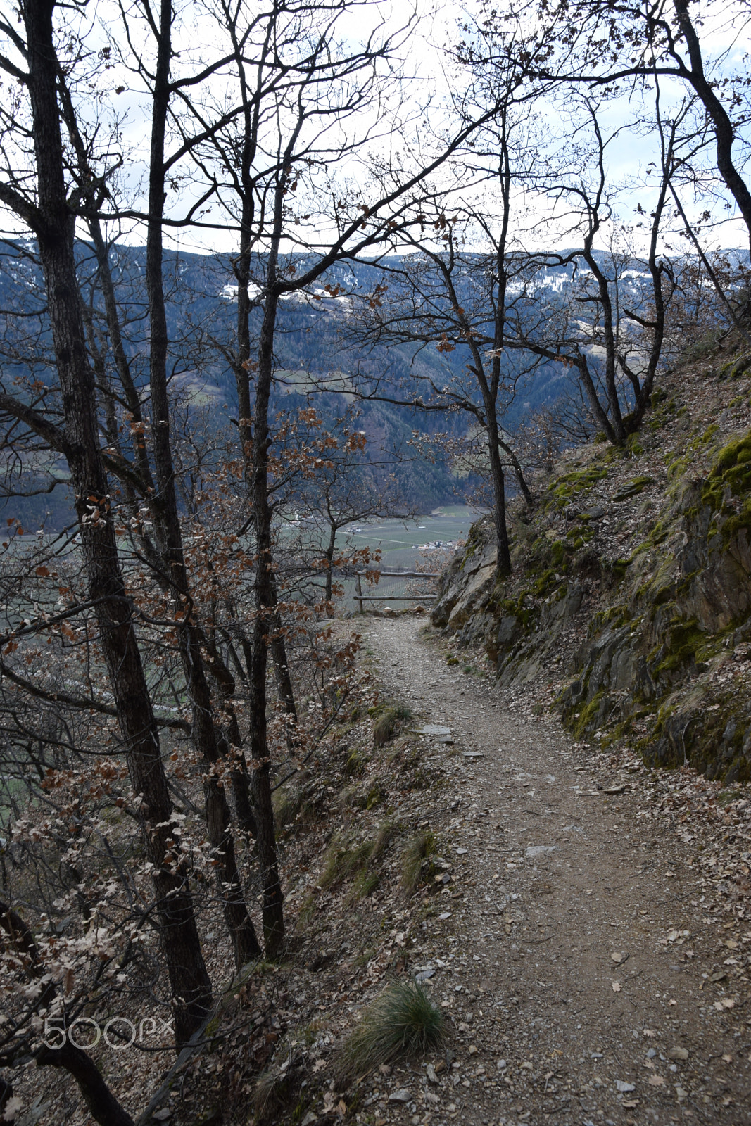 Nikon D5300 sample photo. Trail17 photography