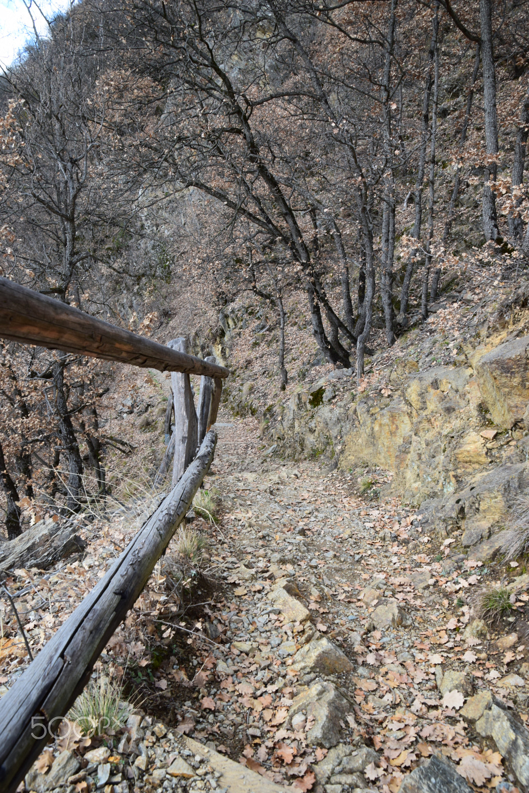 Nikon D5300 sample photo. Trail18 photography