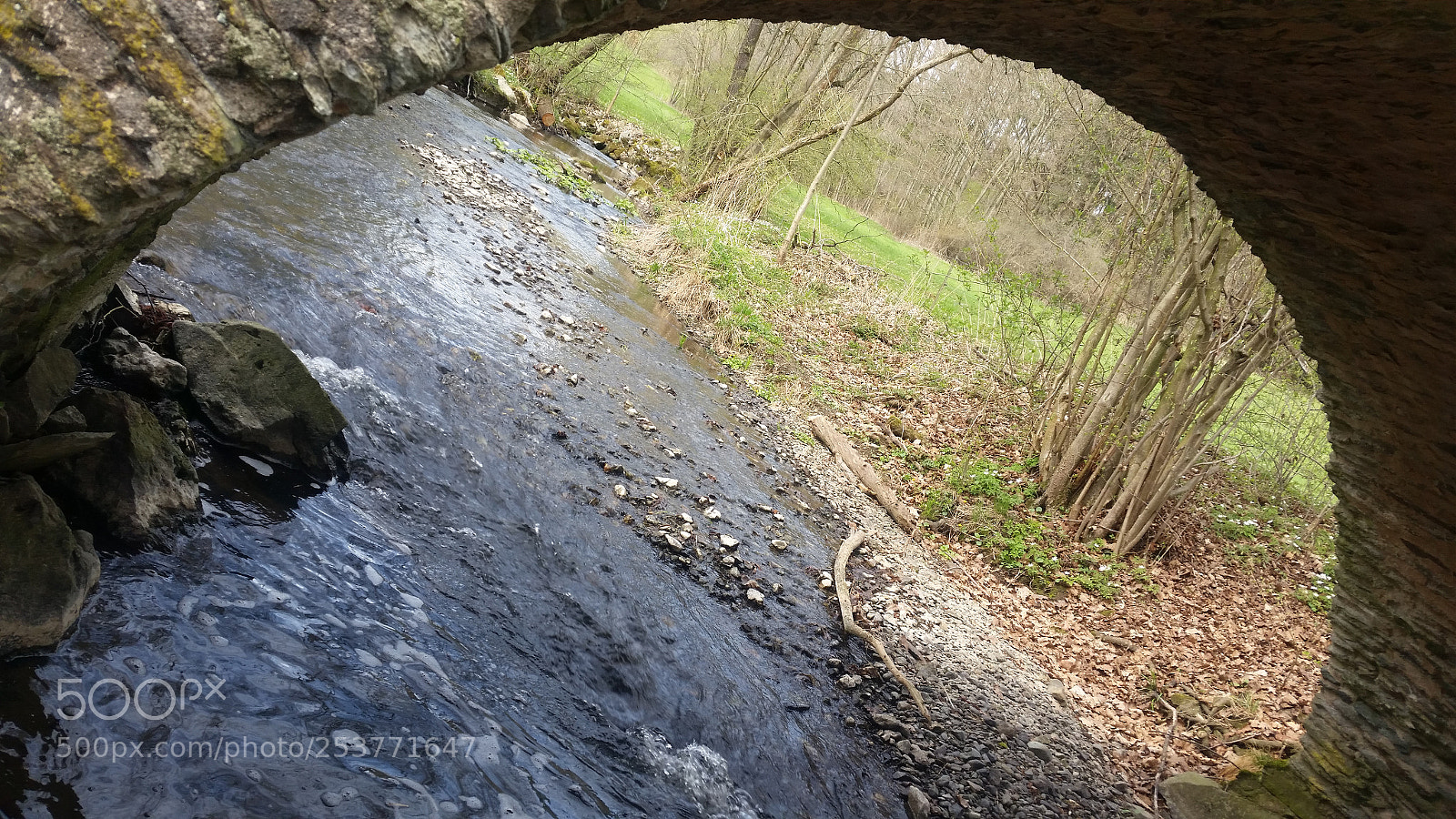 Samsung Galaxy S5 sample photo. I love this little photography