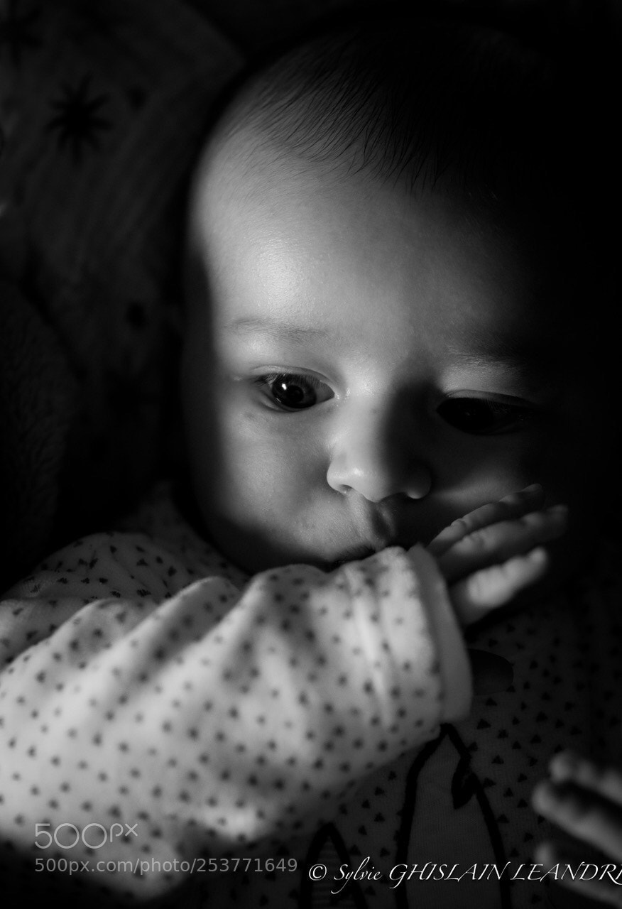 Nikon D500 sample photo. Lucas . photography