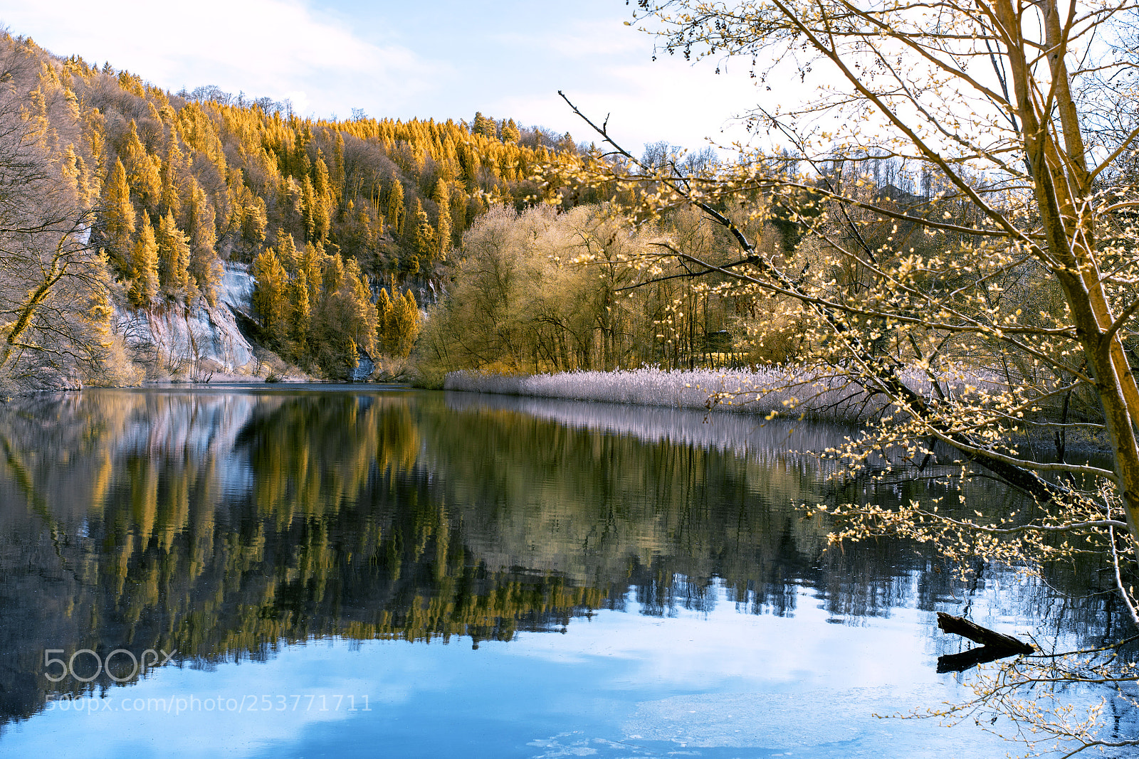 Sony a7 sample photo. Infrared spring photography