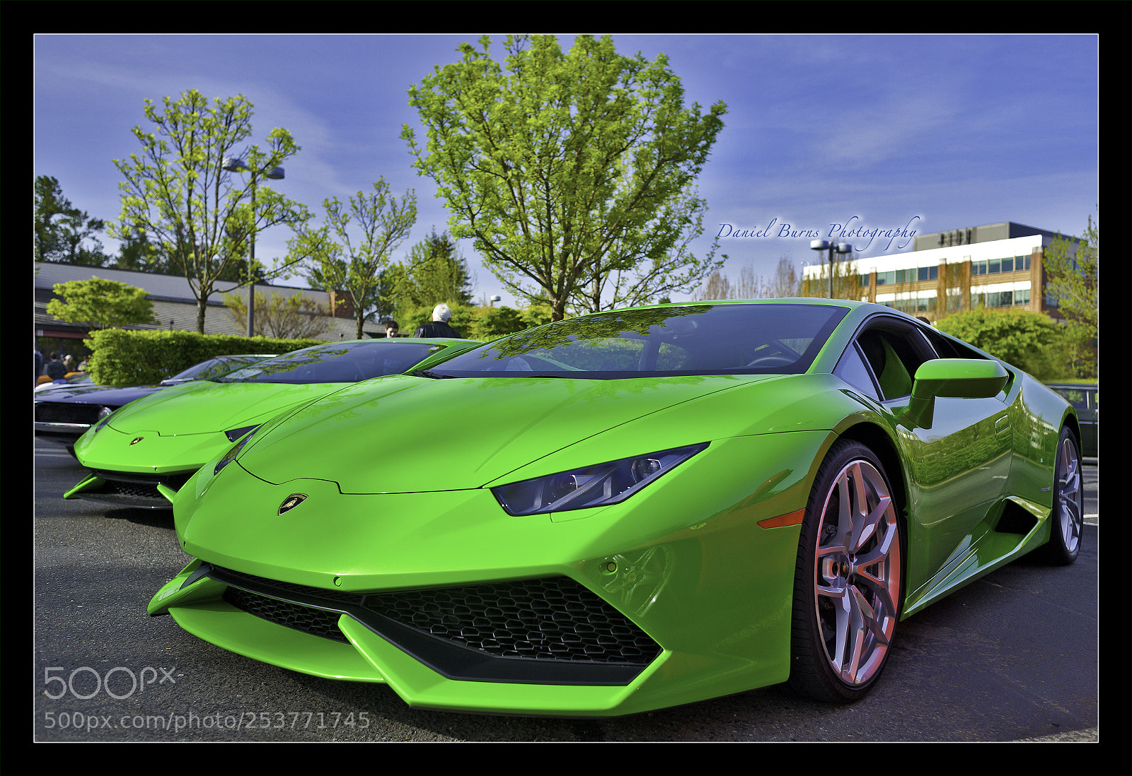 Canon EOS 5D Mark II sample photo. Huracans of green photography