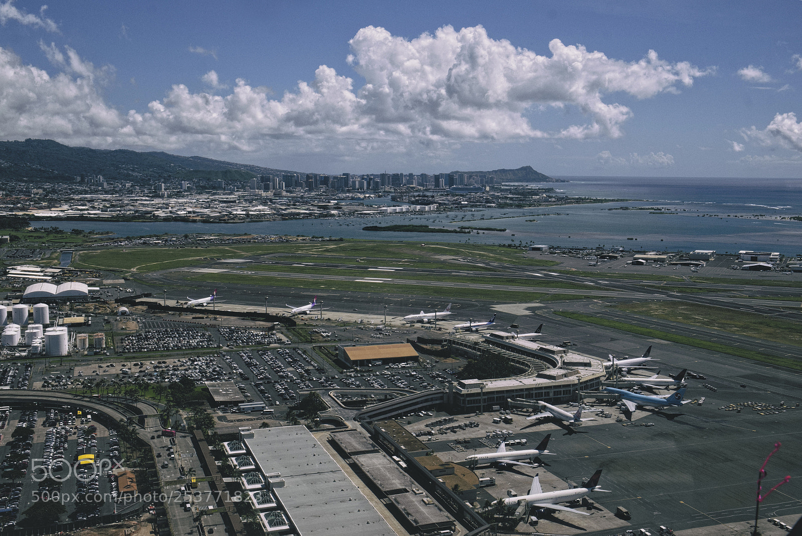 Fujifilm X-T1 sample photo. Coming in for landing photography