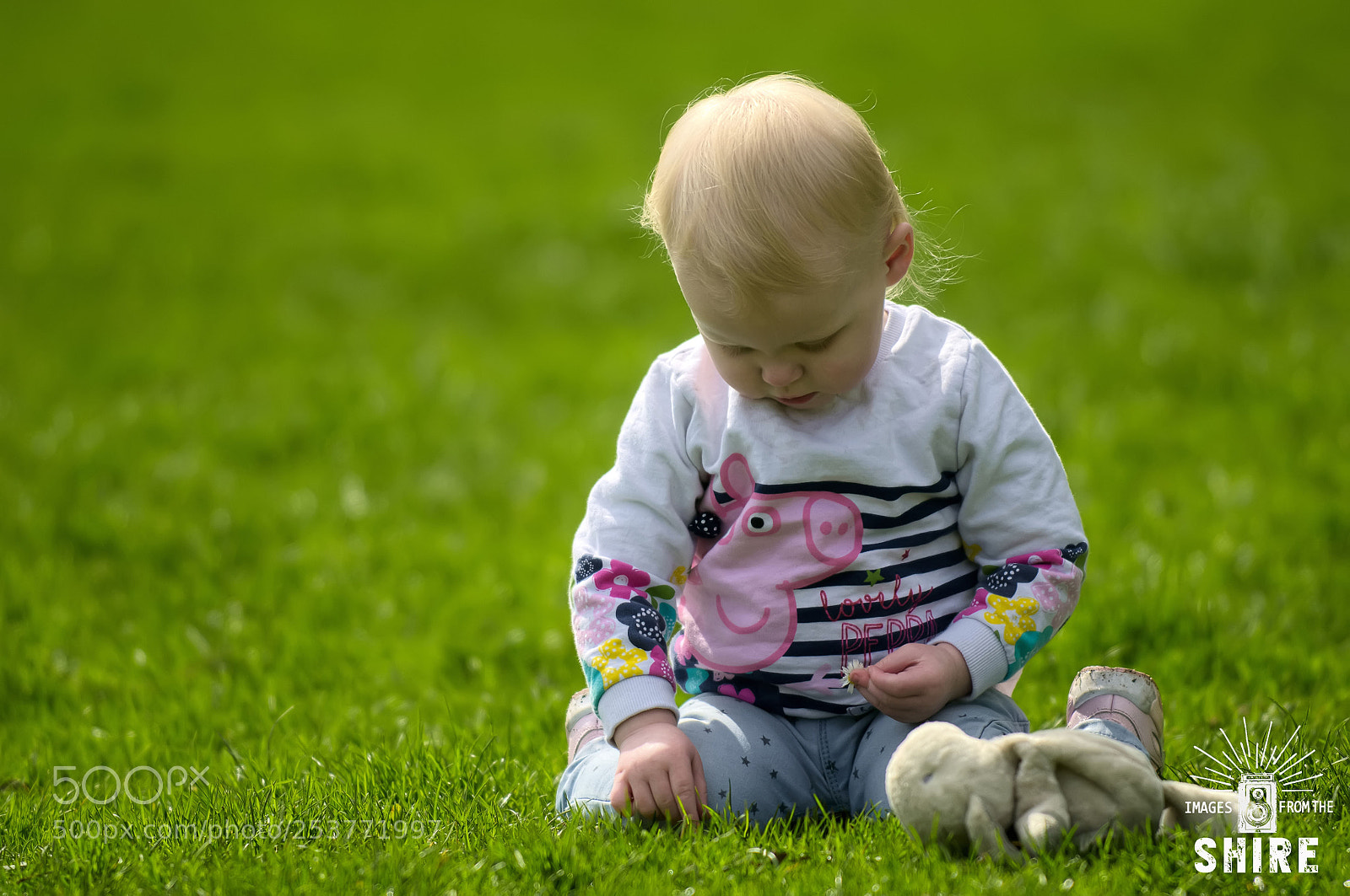 Nikon D300 sample photo. Picking daisies photography