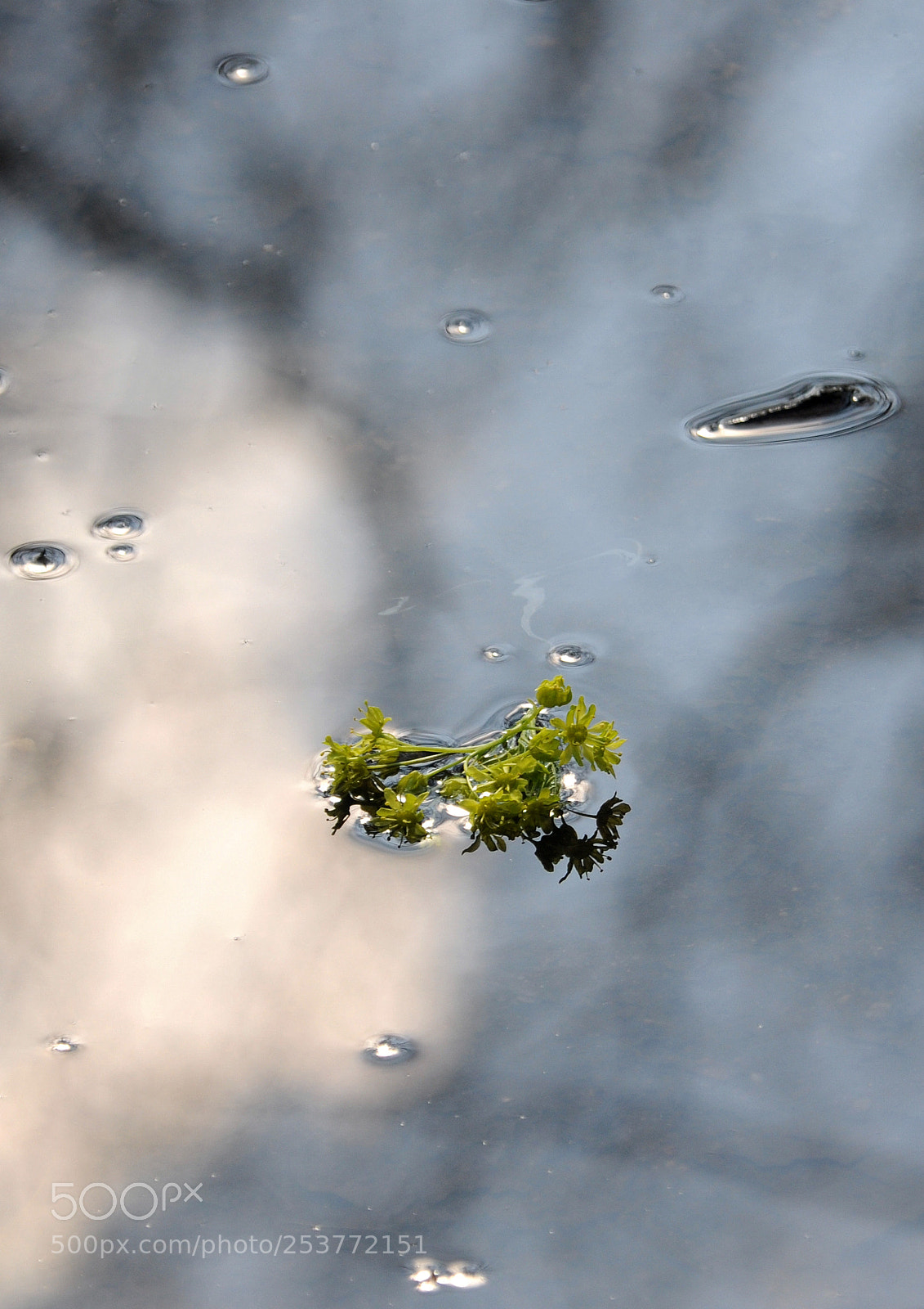 Nikon D90 sample photo. Spiegelung photography