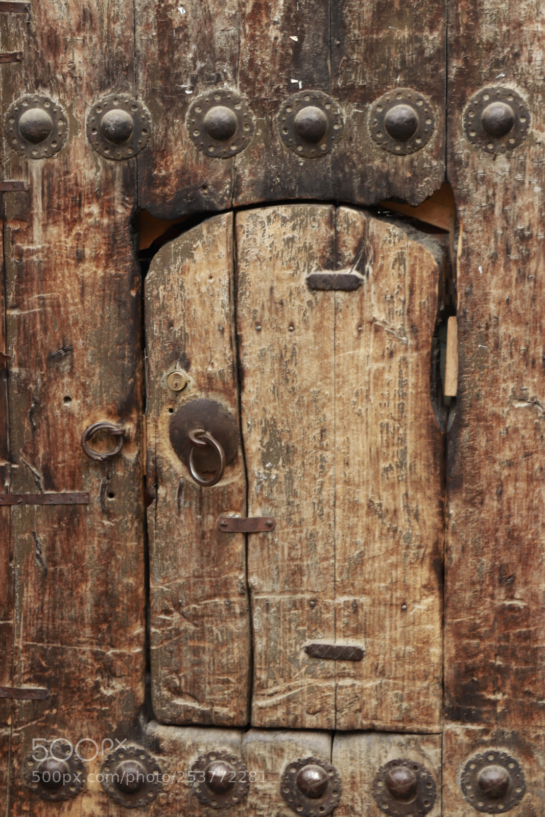 Canon EOS 200D (EOS Rebel SL2 / EOS Kiss X9) sample photo. Mg photography