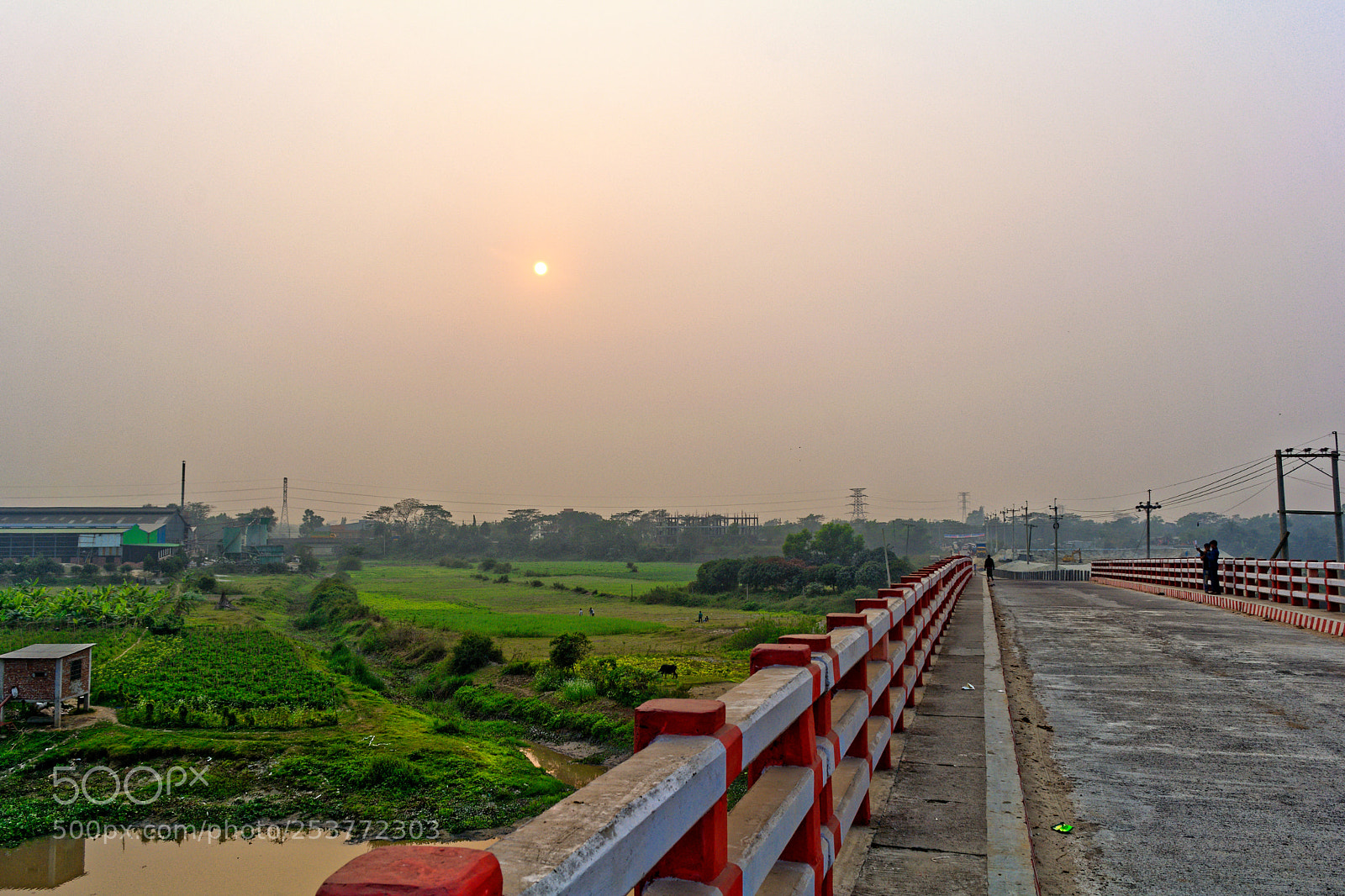 Nikon D5200 sample photo. One way road photography