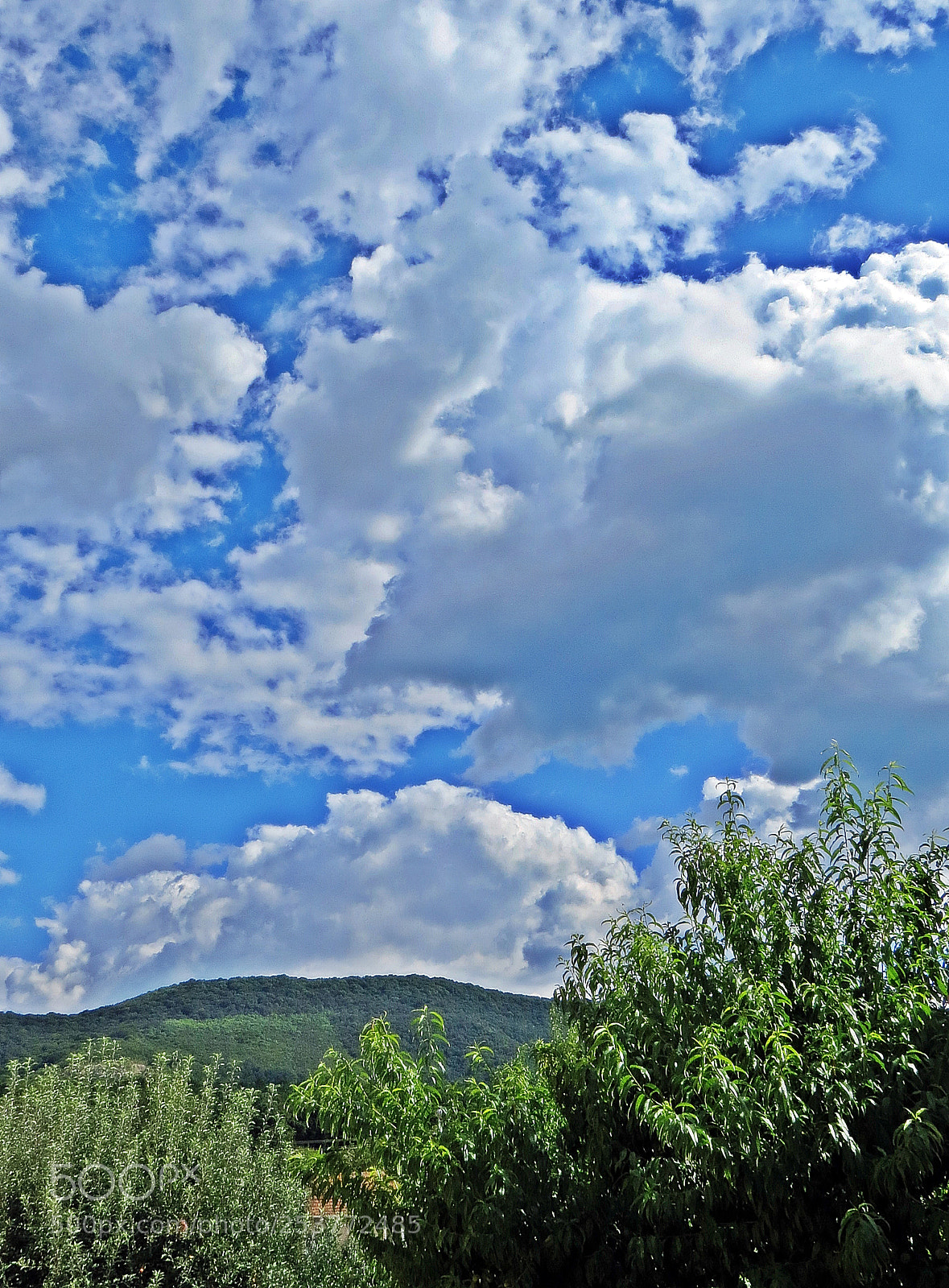 Canon PowerShot SX50 HS sample photo. Cloud empire photography