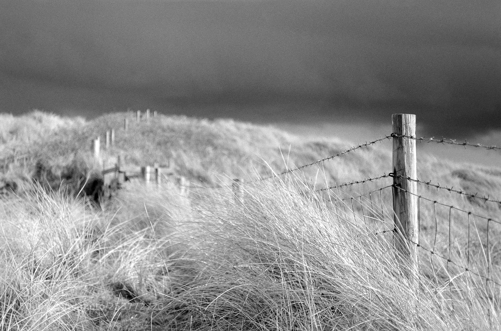 Fujifilm X-Pro1 sample photo. Stormy skies photography