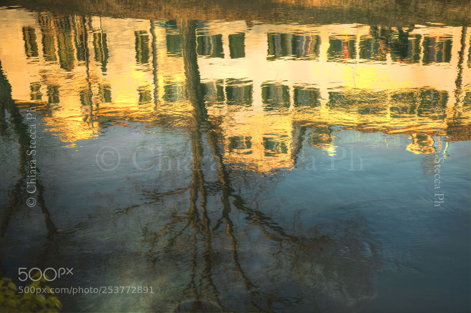 Canon EOS 5D Mark II sample photo. Reflections photography