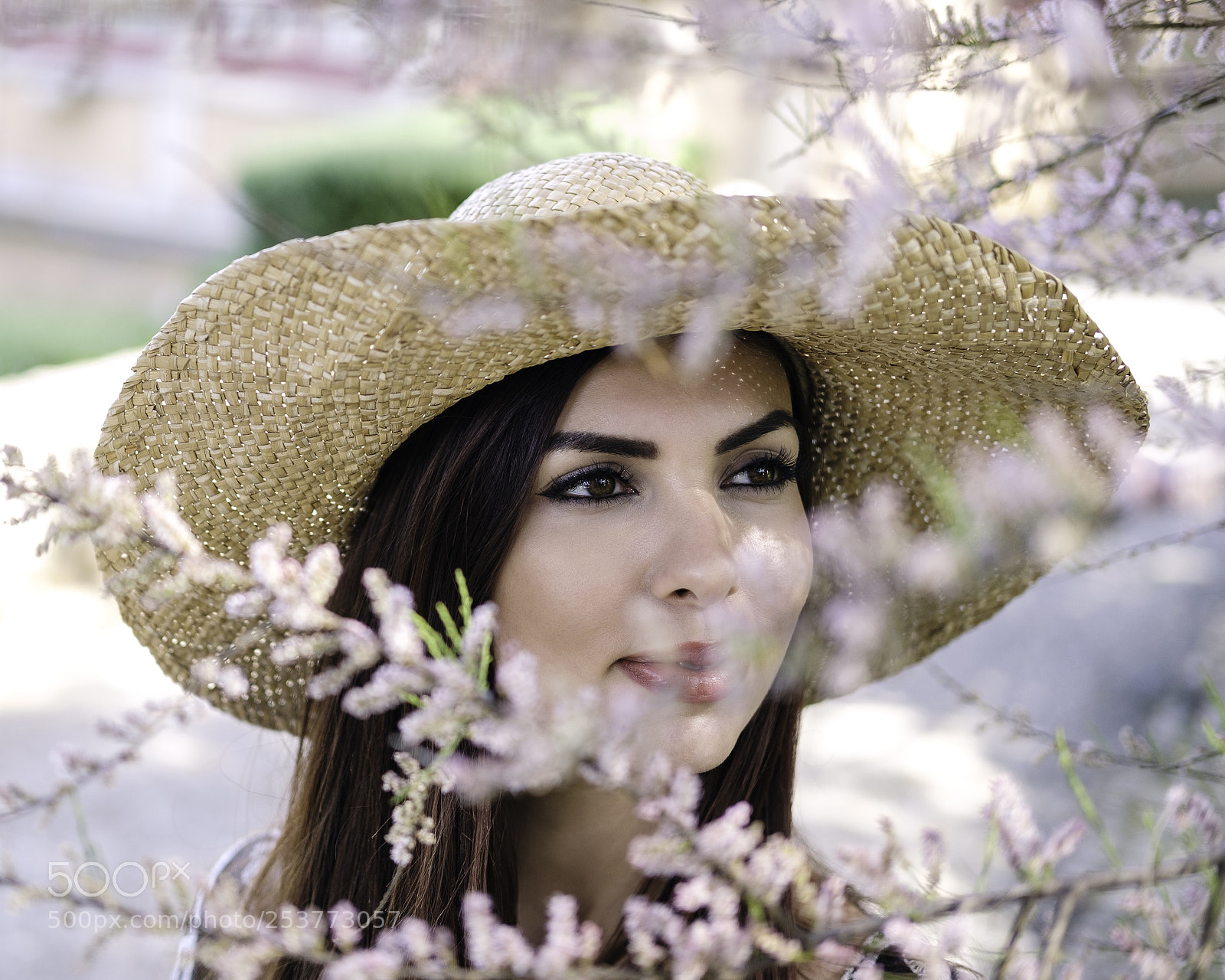 Fujifilm X-T20 sample photo. Spring photography