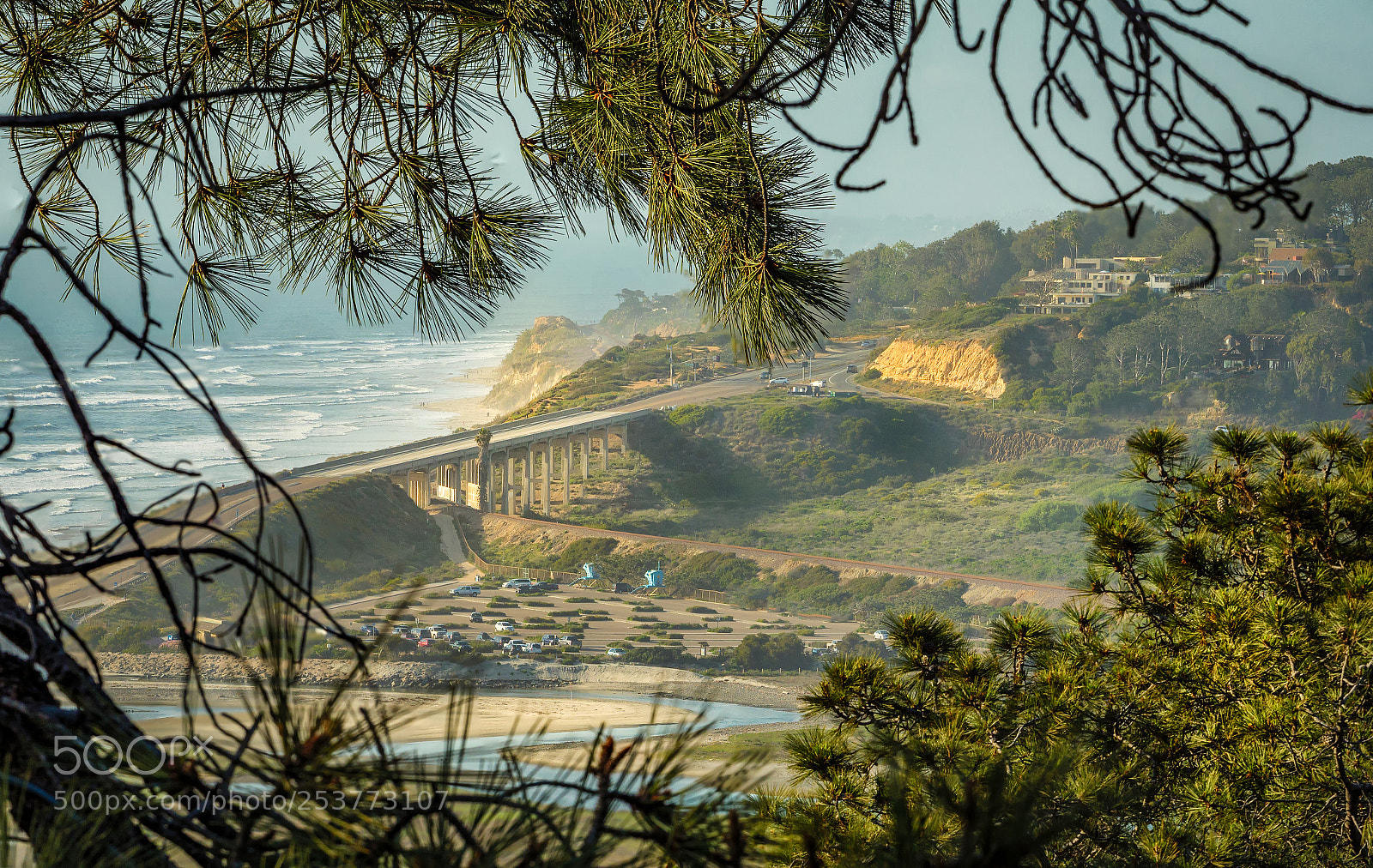 Panasonic Lumix DC-G9 sample photo. Torrey pines bridge 2 photography