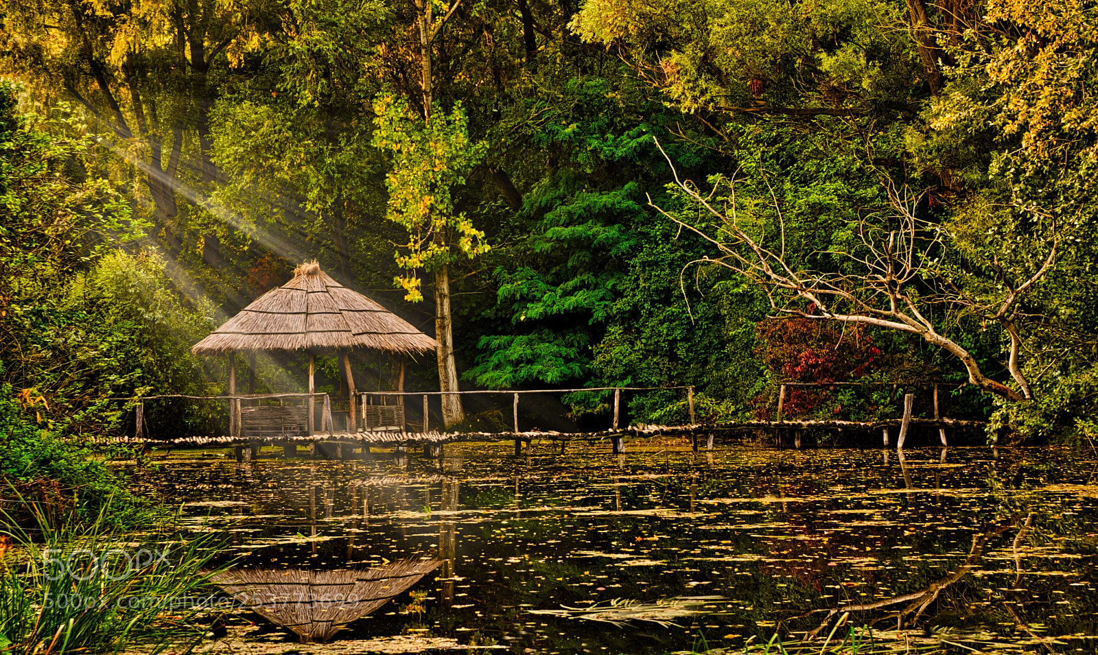 Nikon D7200 sample photo. Little danube photography