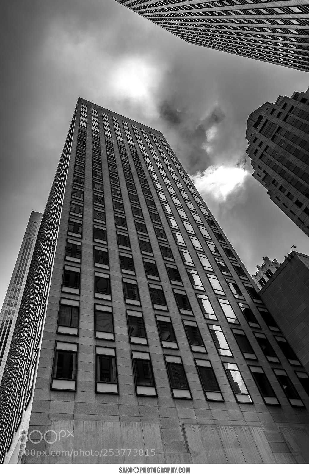 Canon EOS 5D Mark IV sample photo. San francisco, ca photography