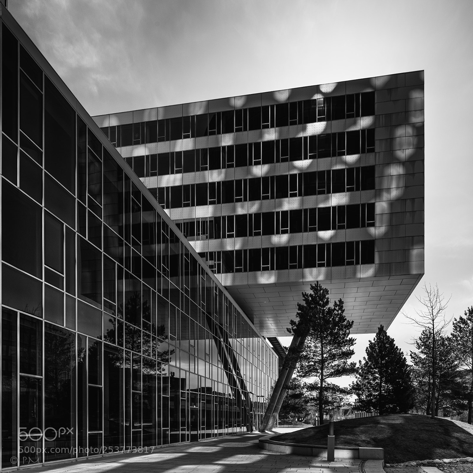 Nikon D810 sample photo. Reflections photography