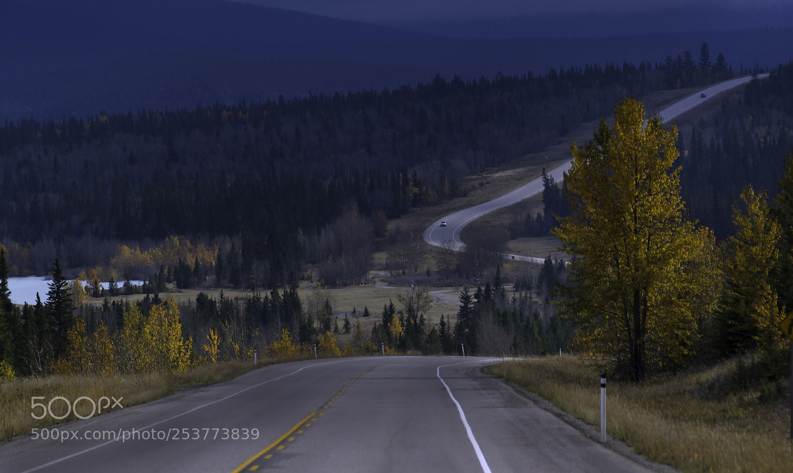 Nikon D7000 sample photo. Hwy-11, alberta photography