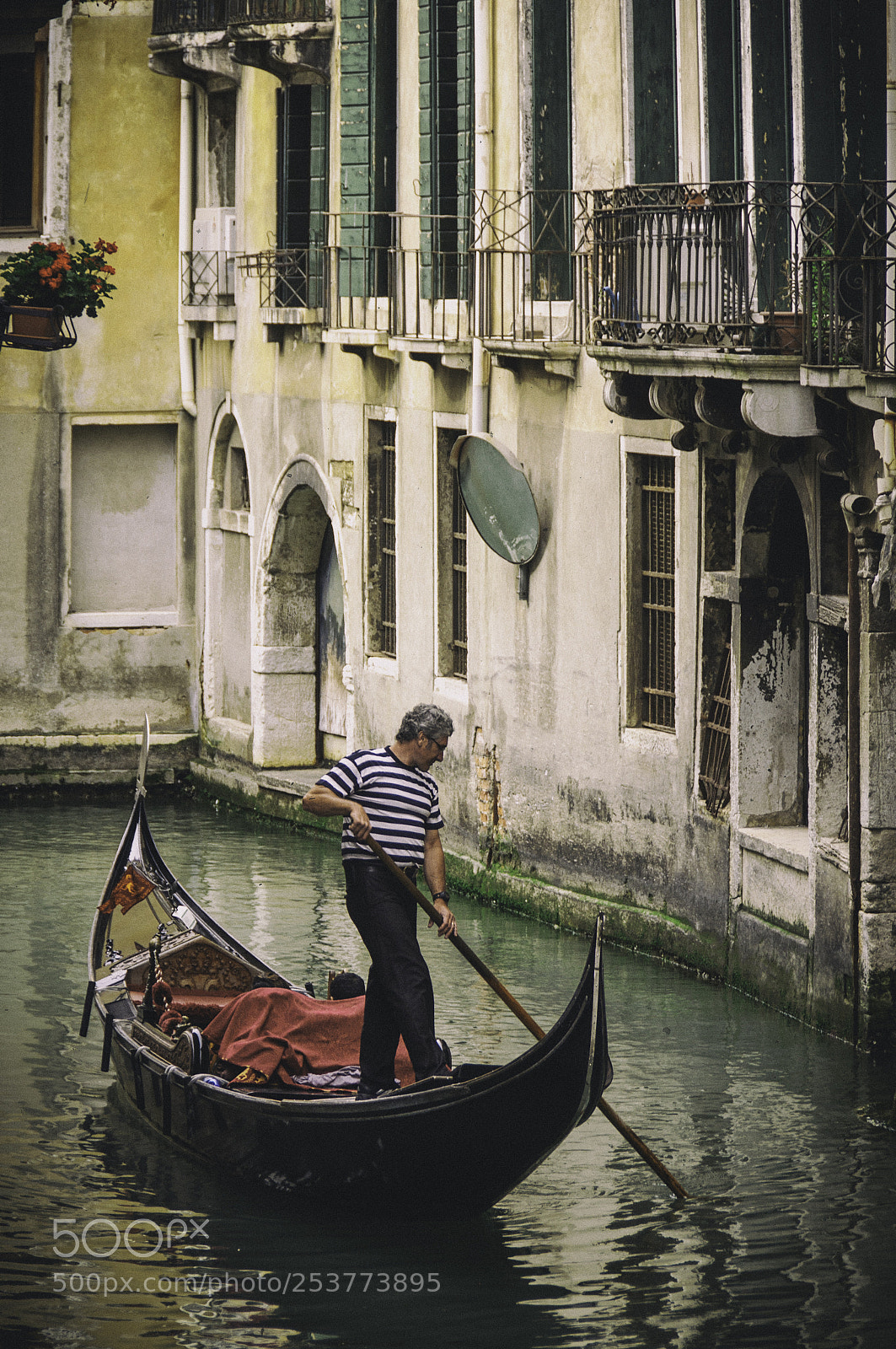 Nikon D90 sample photo. The proud gondolier photography