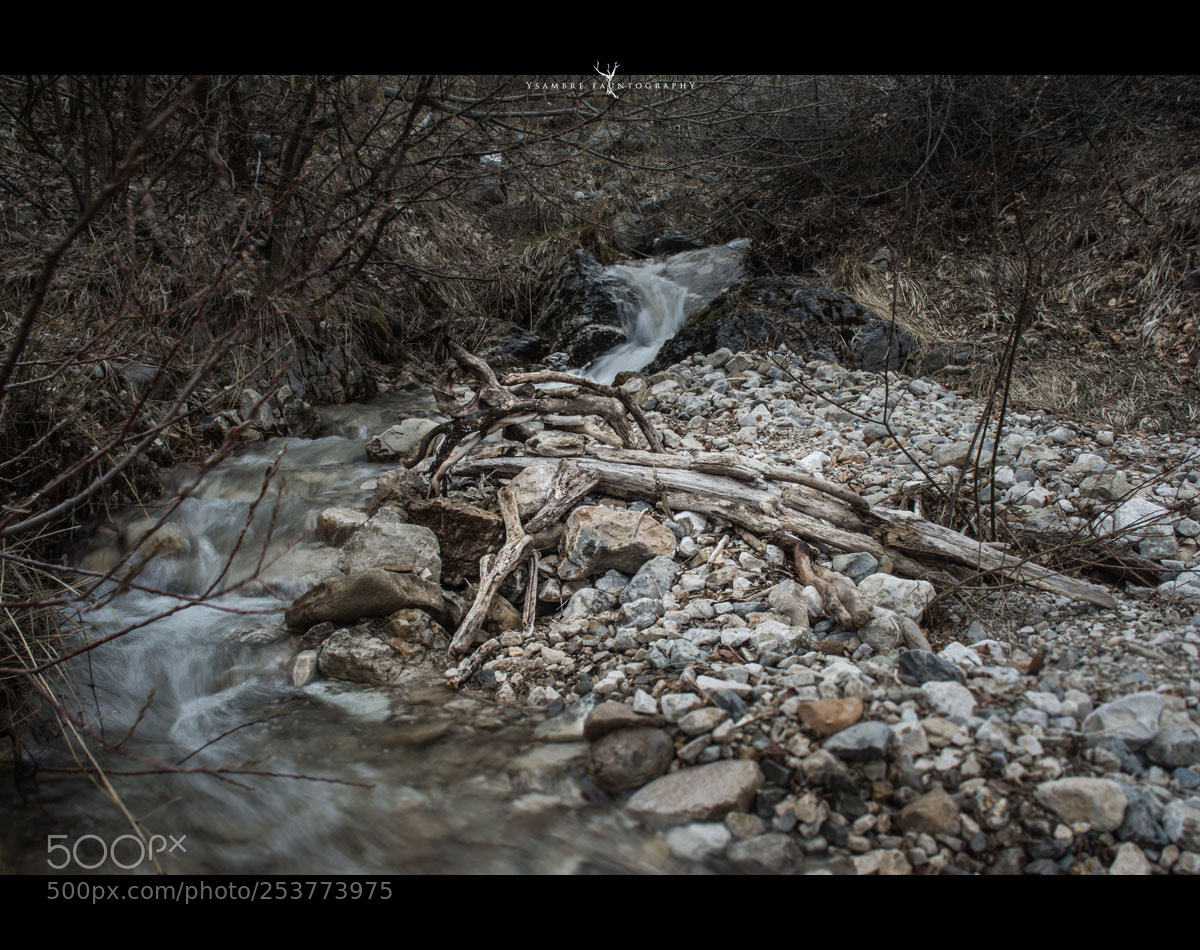 Nikon D7100 sample photo. La chimere des eaux photography