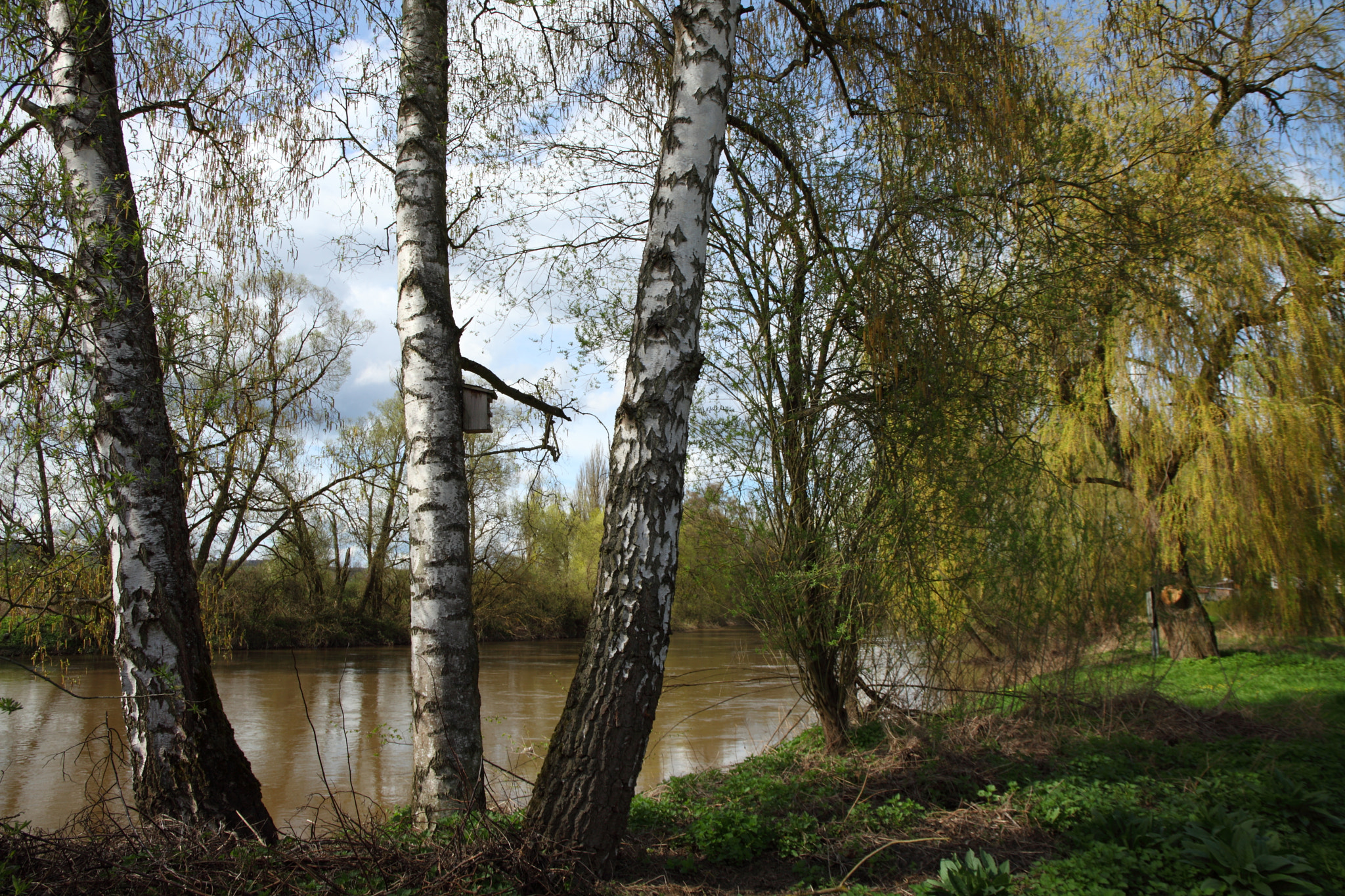 Canon EOS 5D Mark II + Canon EF 24-105mm F3.5-5.6 IS STM sample photo. The river photography