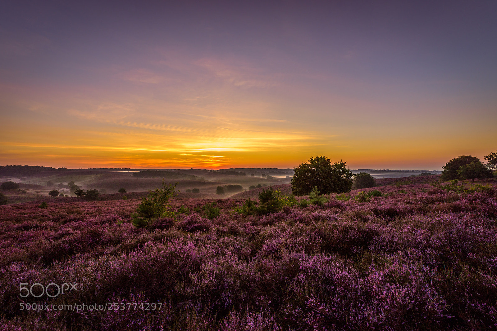 Nikon D810 sample photo. Early mornings photography