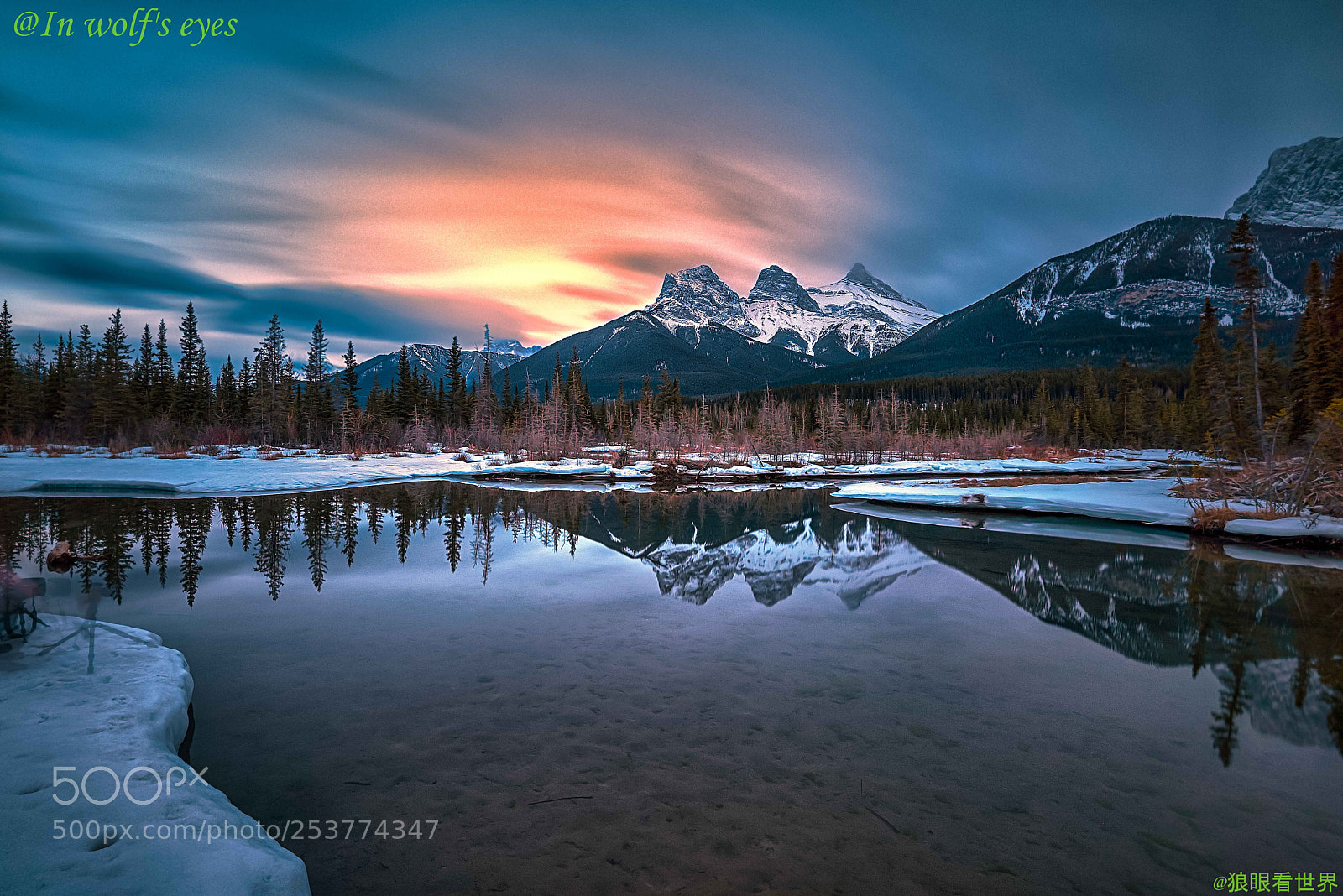 Nikon D810 sample photo. Evening, canada photography