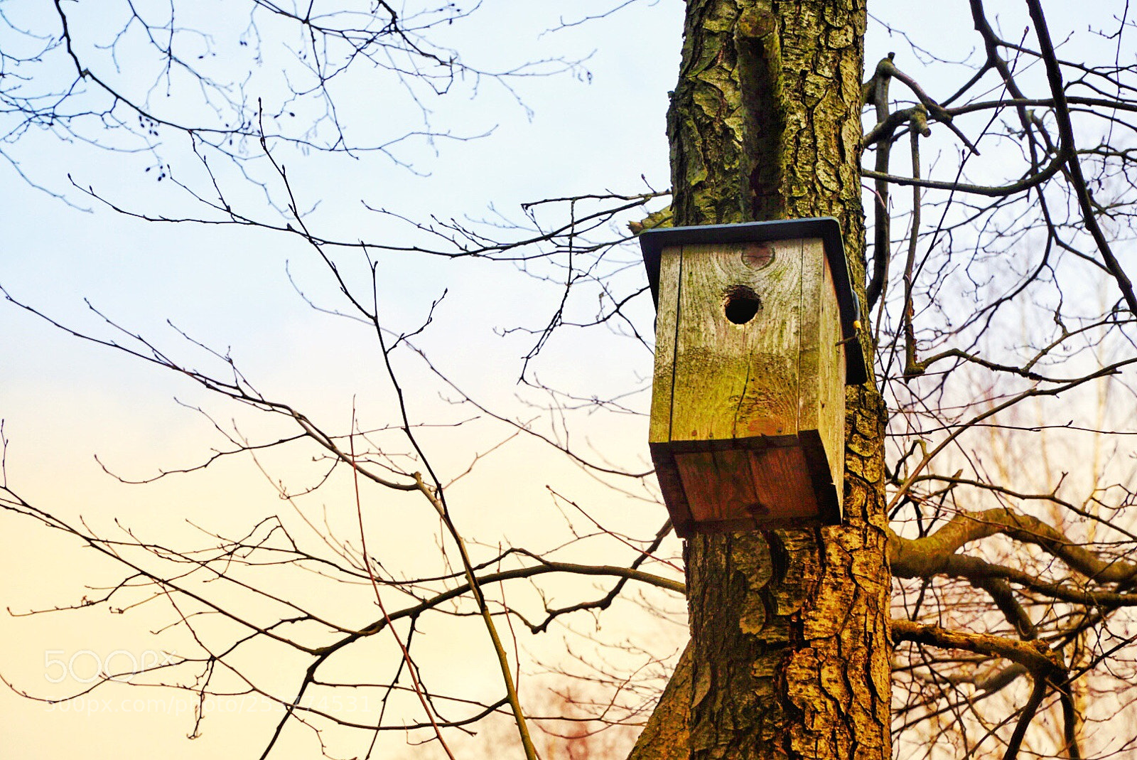 Sony a6000 sample photo. Bird house  photography