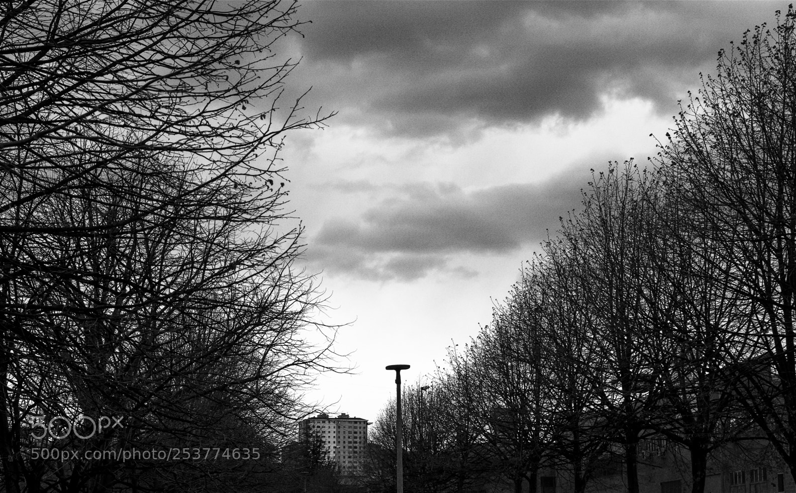 Pentax K-50 sample photo. Destino en perspectiva photography