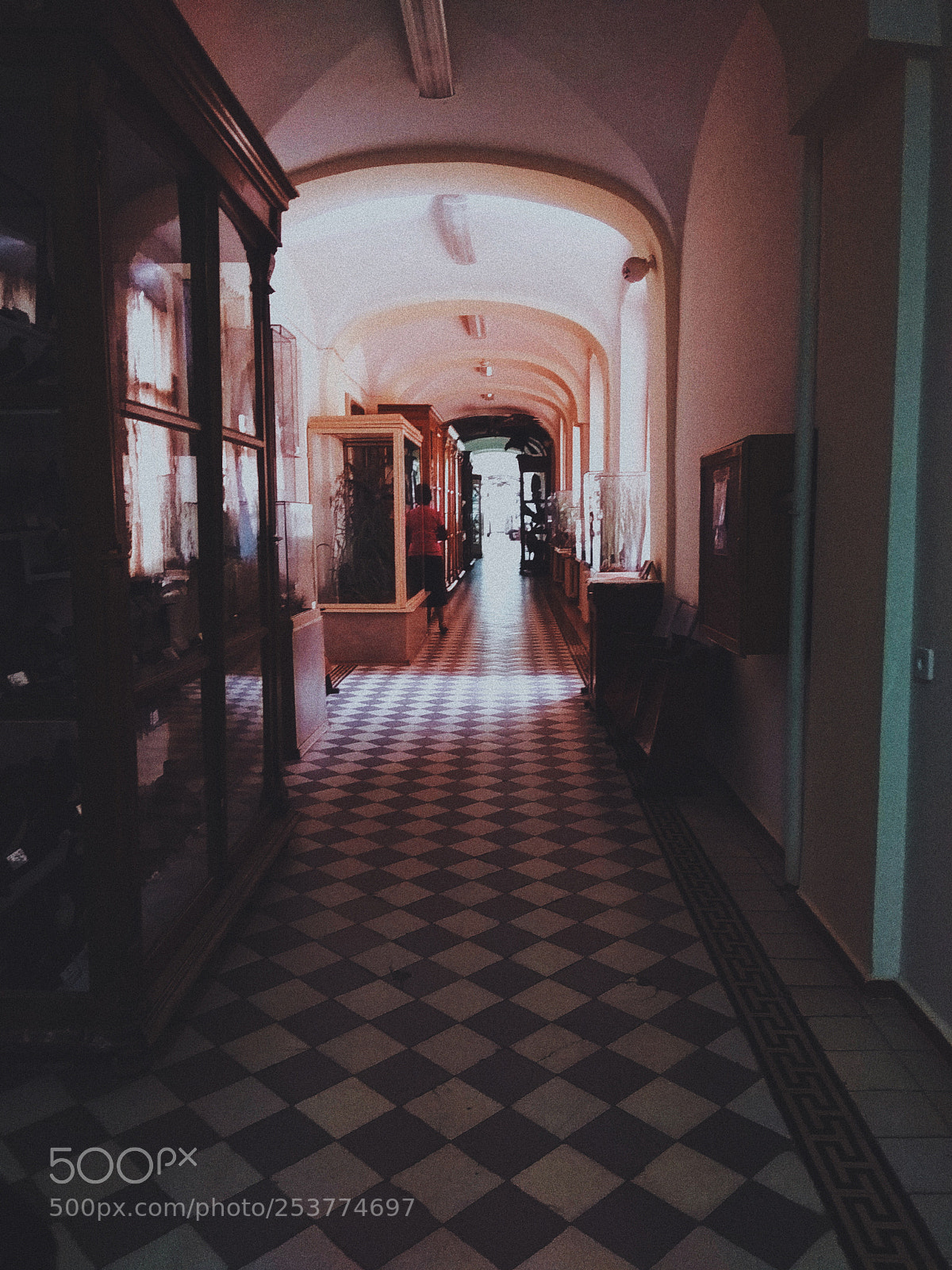 Xiaomi Redmi Note3 sample photo. Untitled photography