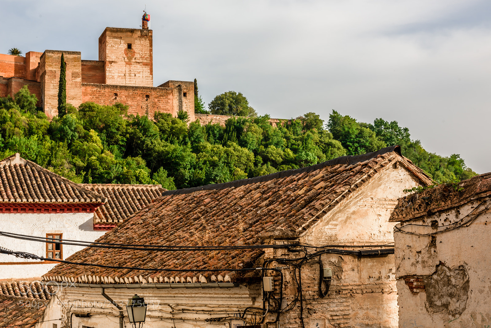 Nikon D810 sample photo. Alhambra palace above the photography
