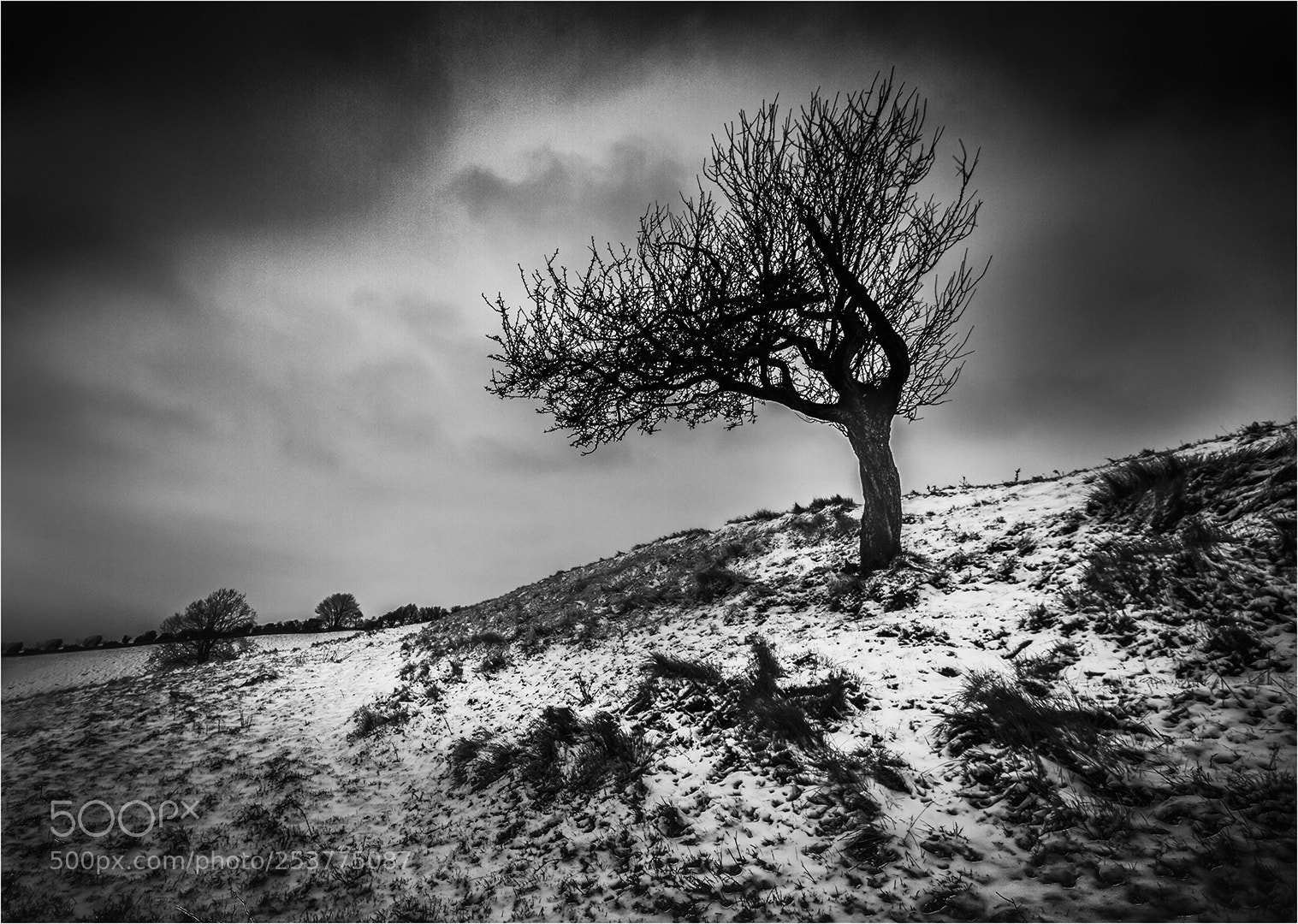 Canon EOS 7D sample photo. After the snow. photography