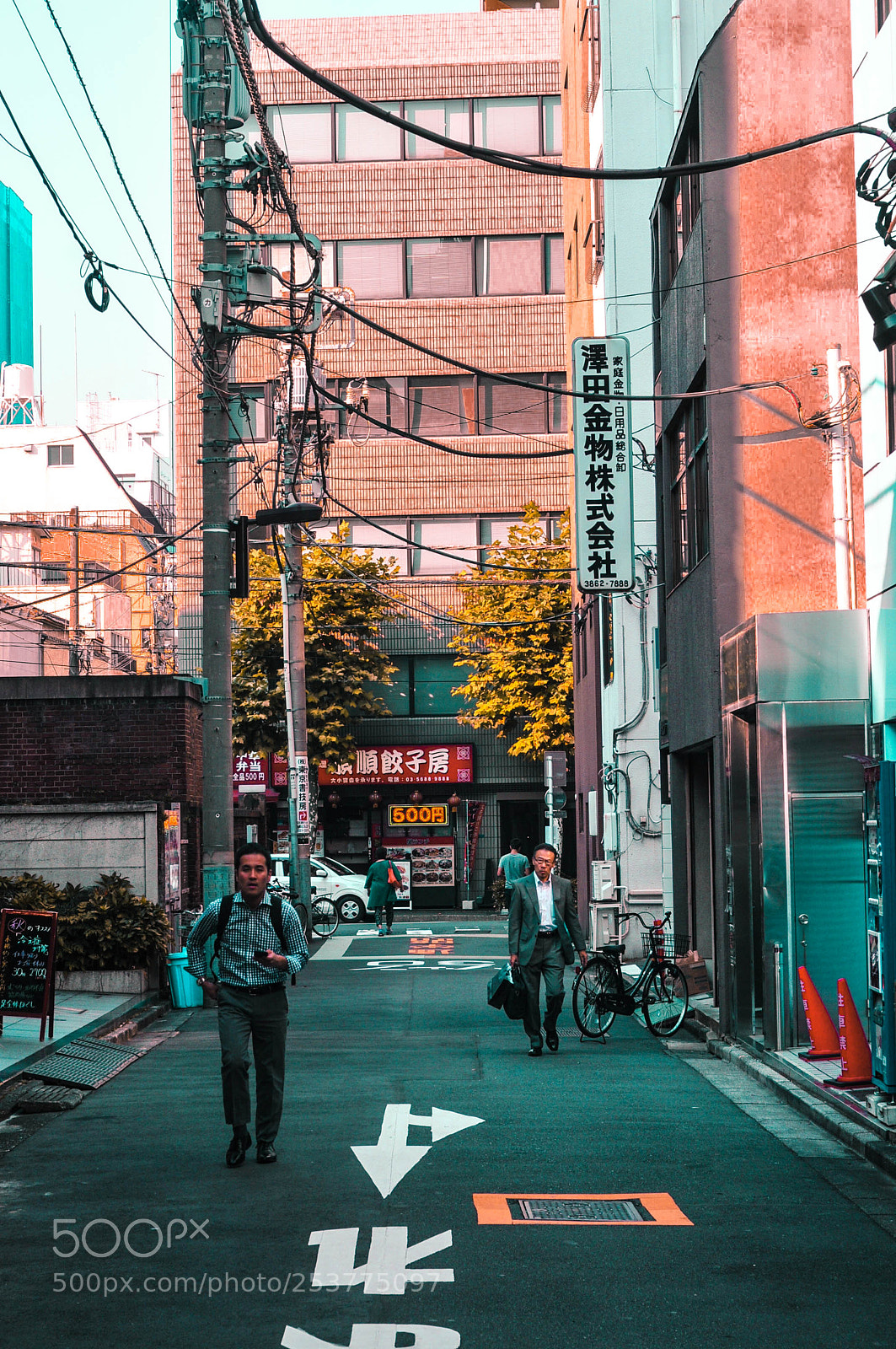 Nikon D300S sample photo. Japan photography