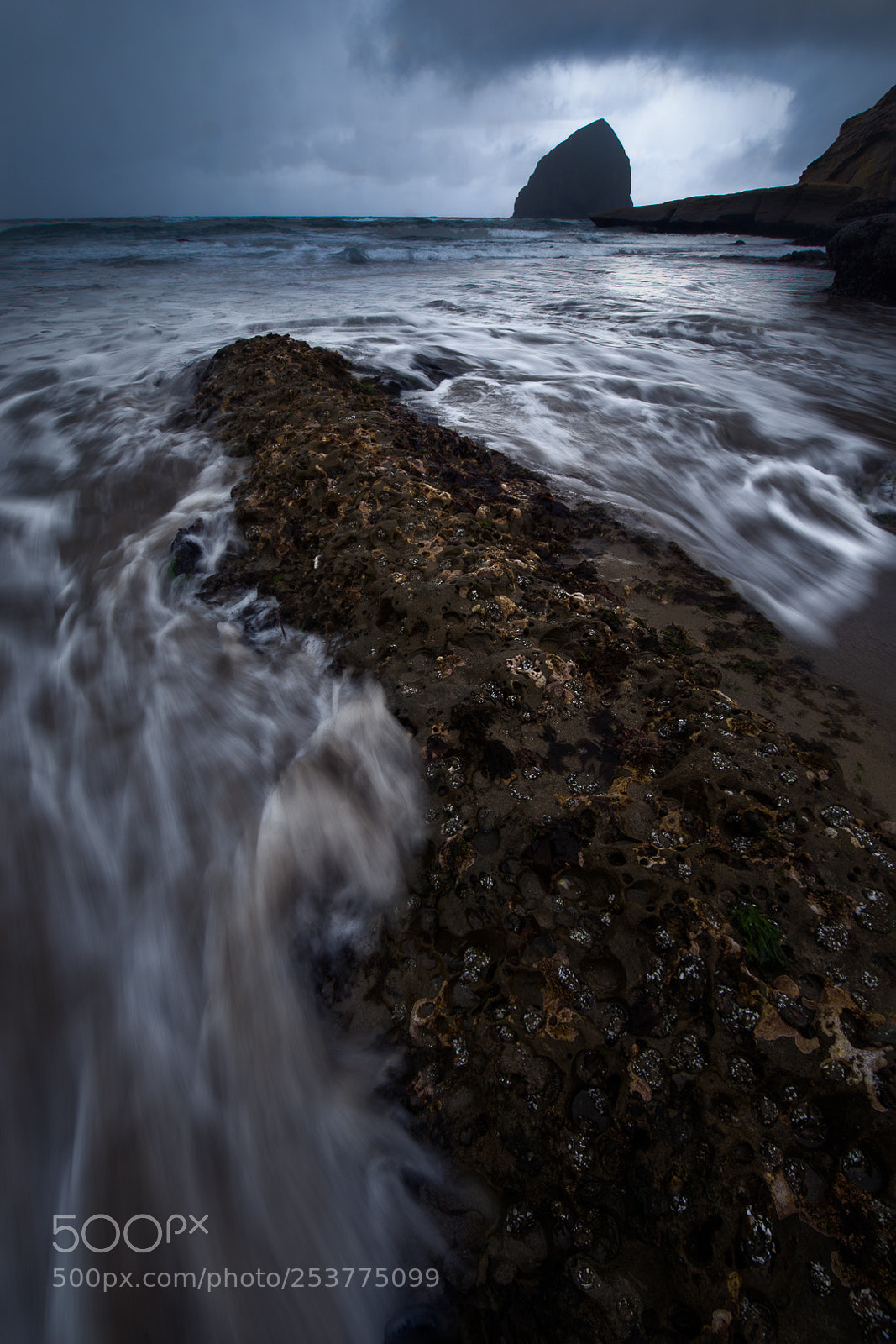Pentax K-1 sample photo. Moody kiwanda photography
