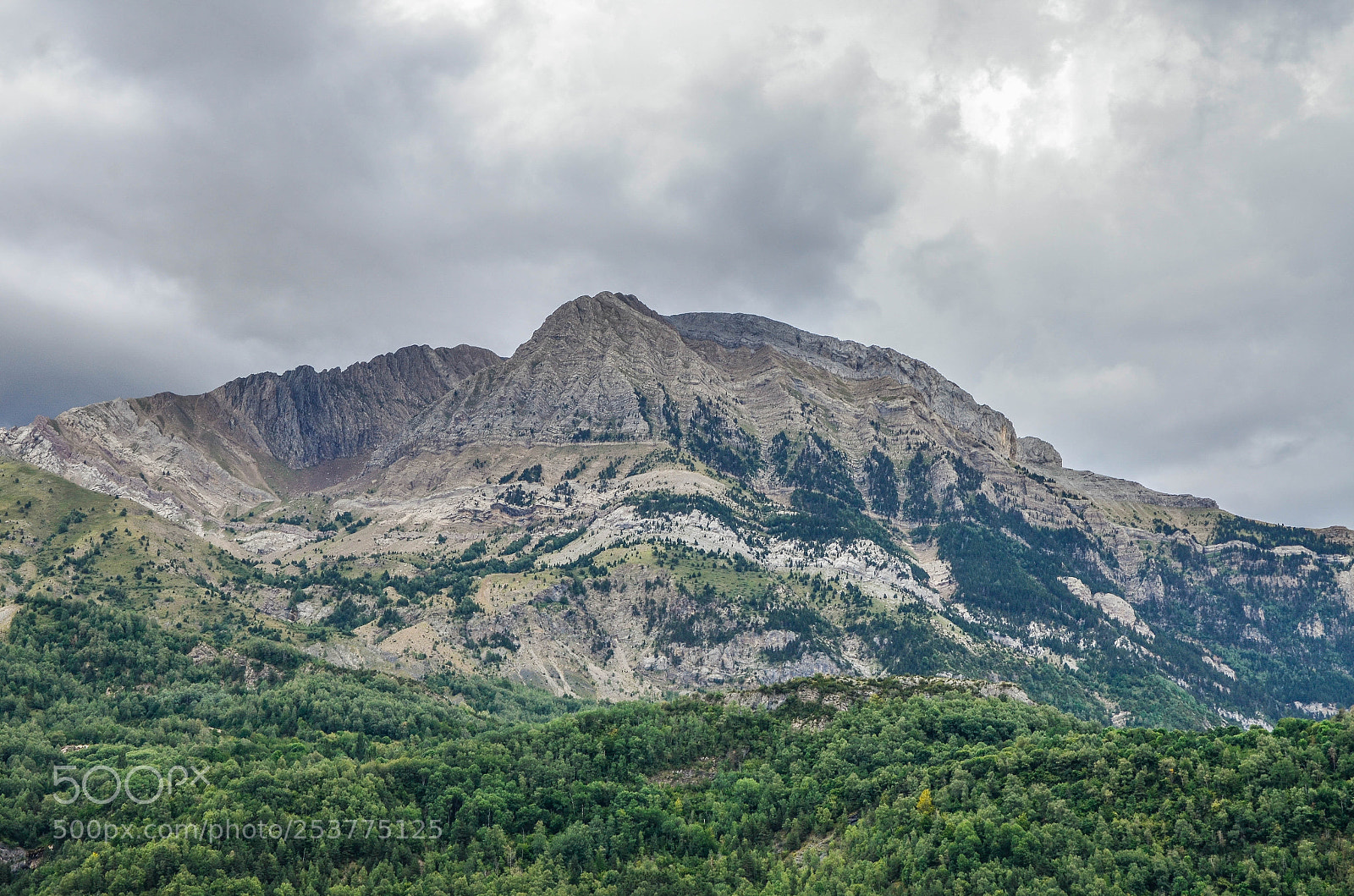 Nikon D7000 sample photo. Glorious pyerenees photography