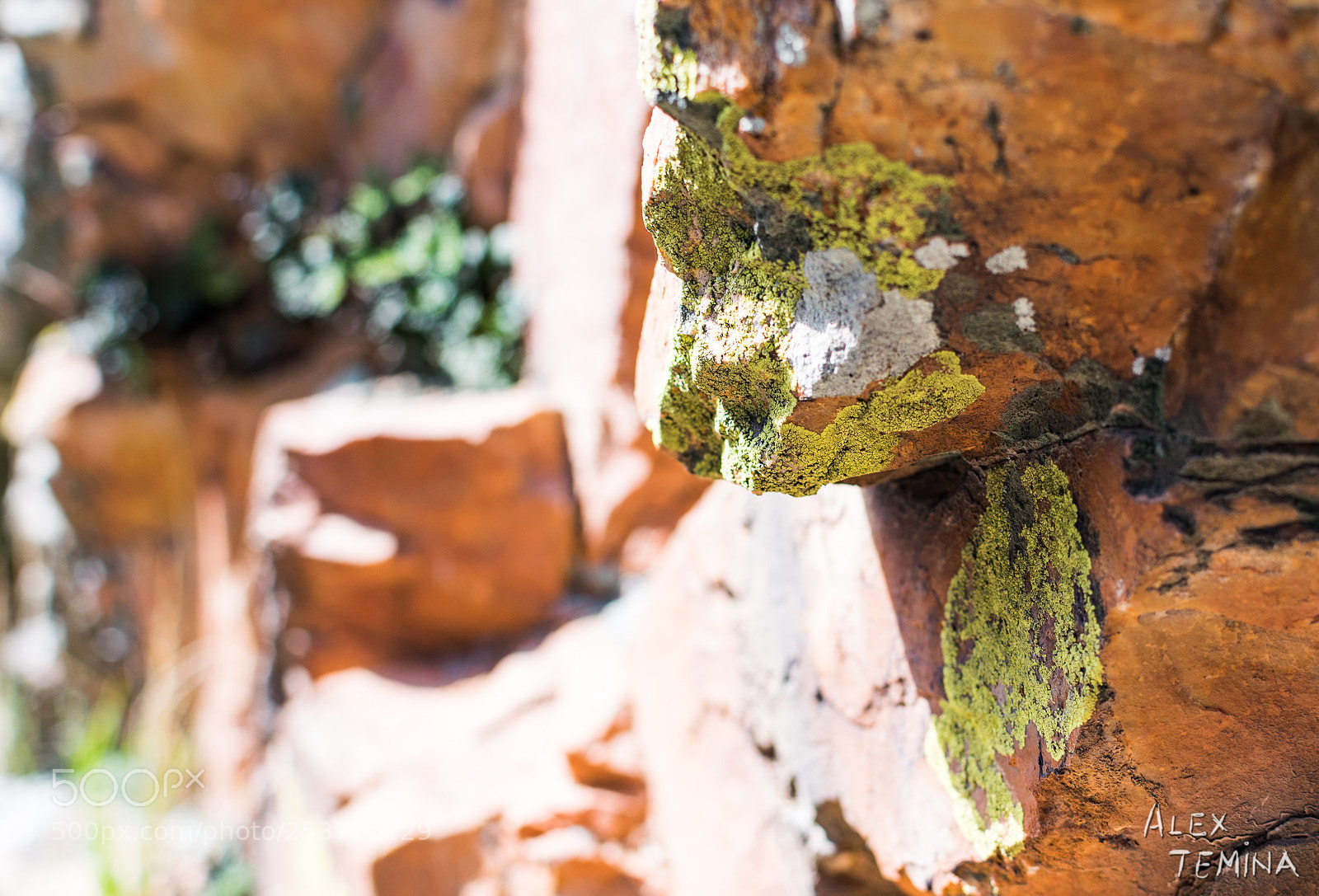Nikon D5300 sample photo. Killer photography