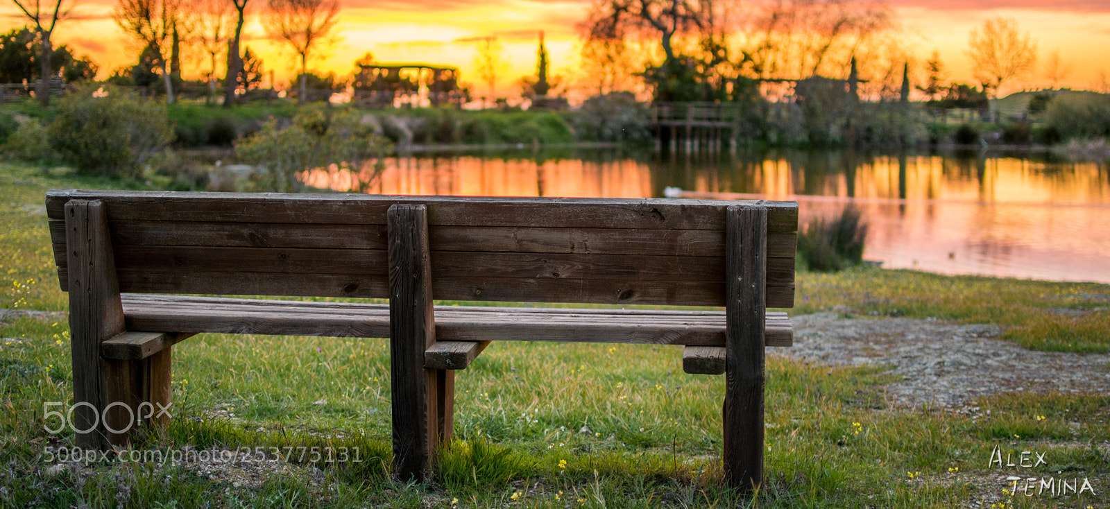 Nikon D5300 sample photo. A place to rest photography