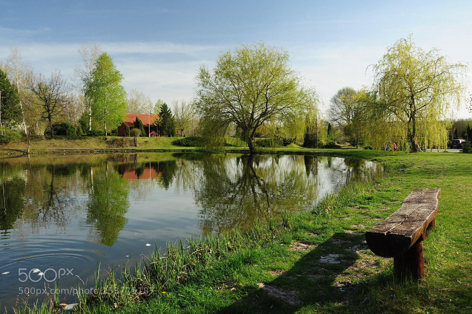 Nikon D90 sample photo. Untitled photography