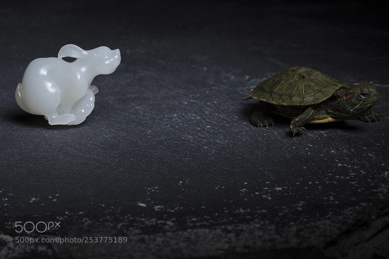 Canon EOS 5DS sample photo. Run photography